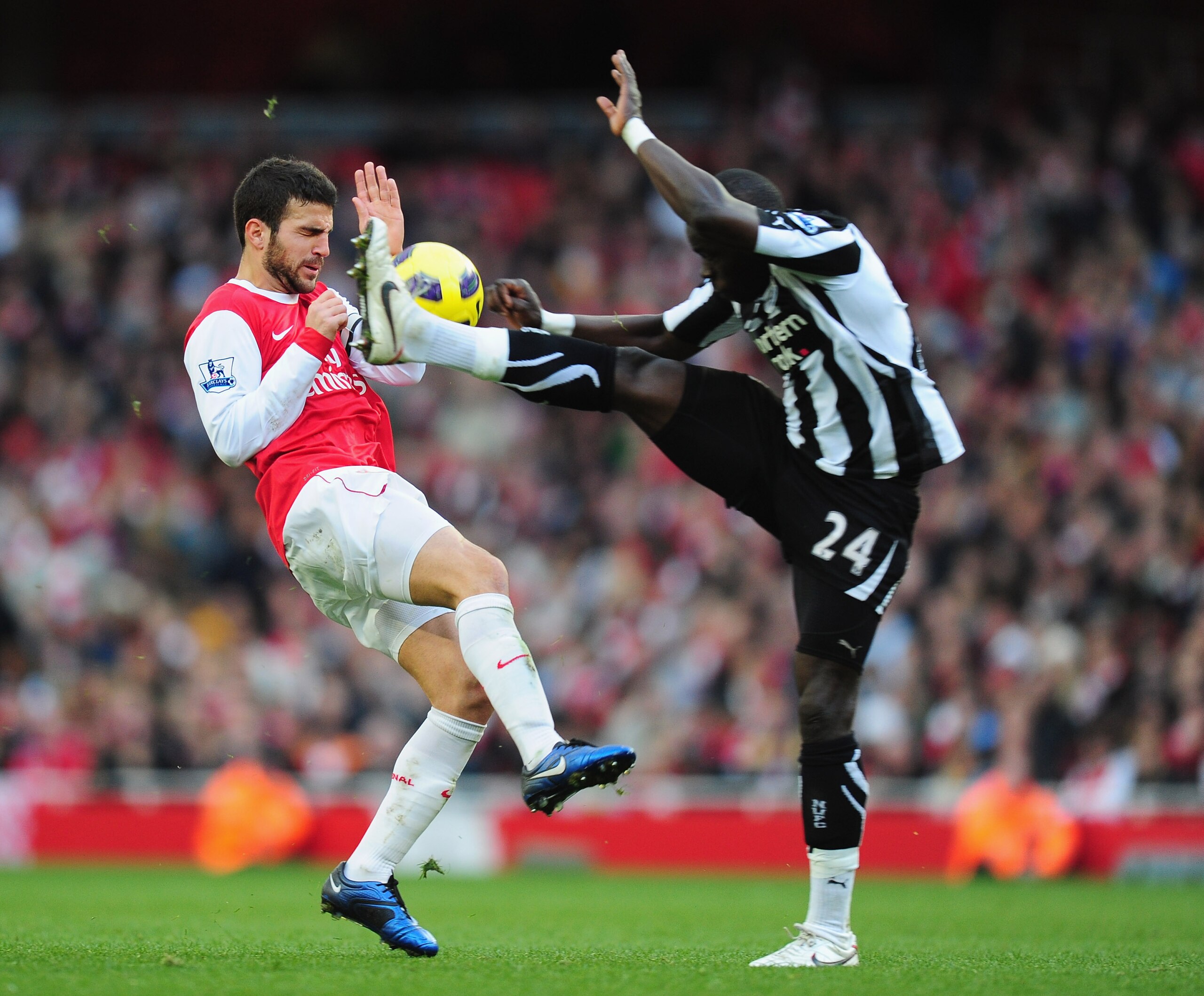 LONDON, ENGLAND - NOVEMBER 07:  Cesc Fabregas of Arsenal is challenged by Cheik Tiote of Newcastle during the Barclays Premier League match between Arsenal and Newcastle United at the Emirates Stadium on November 7, 2010 in London, England.  (Photo by Mik