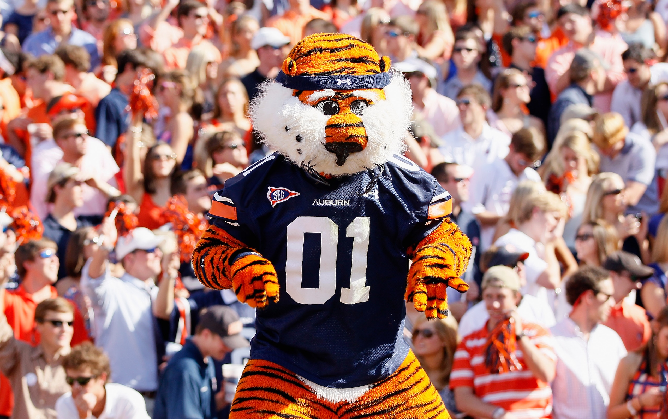 AUBURN, AL - OCTOBER 23:  Aubie, masot of the Auburn Tigers, against the LSU Tigers at Jordan-Hare Stadium on October 23, 2010 in Auburn, Alabama.  (Photo by Kevin C. Cox/Getty Images)