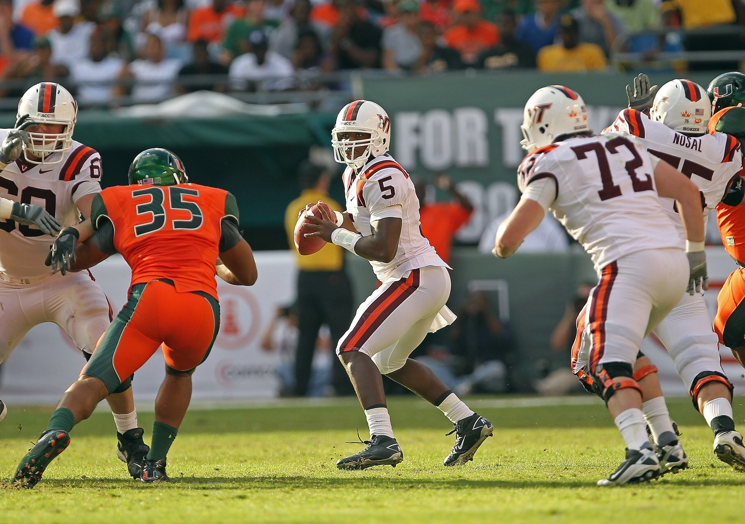 MIAMI - NOVEMBER 20:  Tyrod Taylor #5 of the Virginia Tech Hokies drops back to pass during a game against the Miami Hurricanes at Sun Life Stadium on November 20, 2010 in Miami, Florida.  (Photo by Mike Ehrmann/Getty Images)