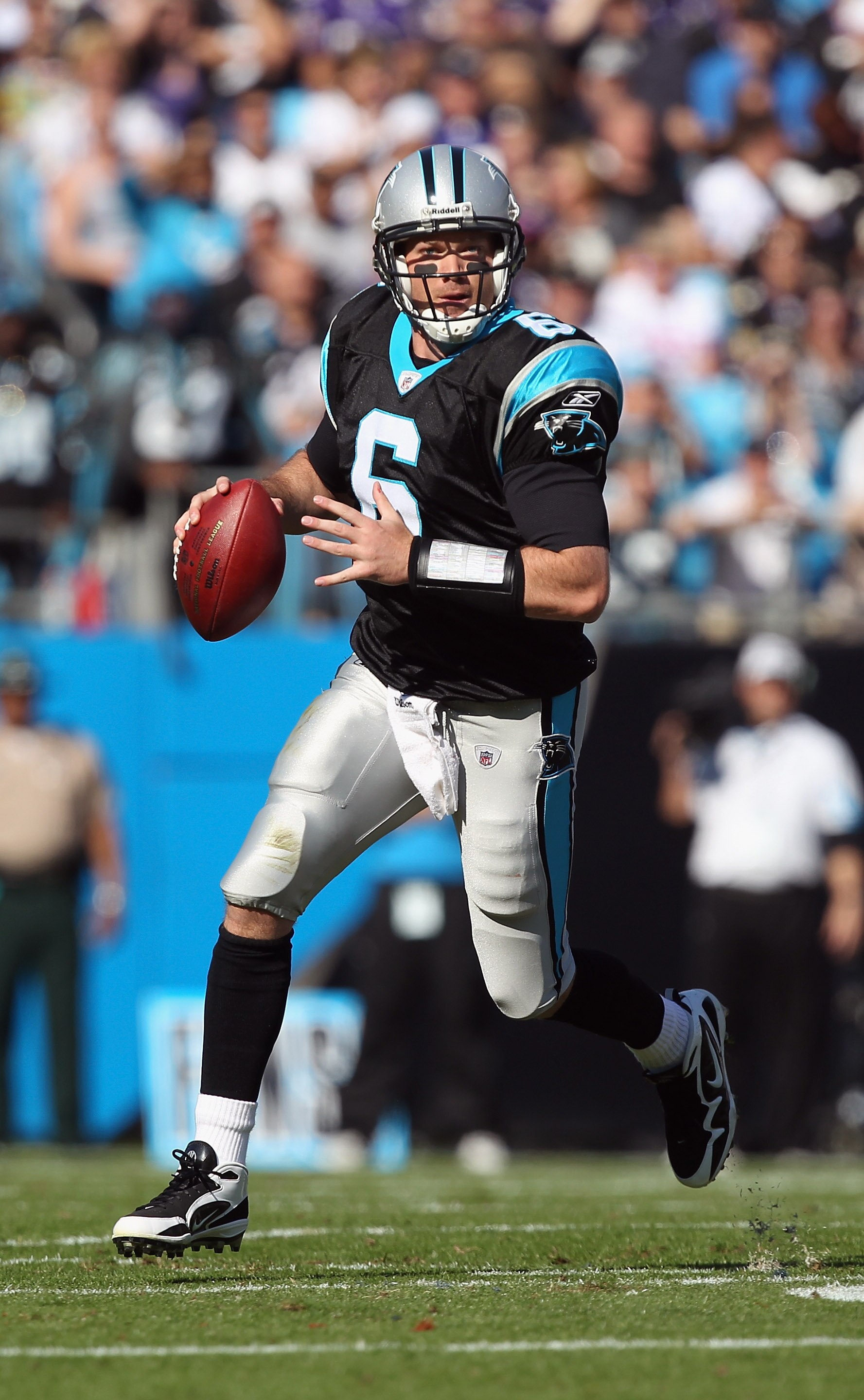 CHARLOTTE, NC - NOVEMBER 21:  Brian St. Pierre #6 of the Carolina Panthers against the Baltimore Ravens at Bank of America Stadium on November 21, 2010 in Charlotte, North Carolina.  (Photo by Streeter Lecka/Getty Images)