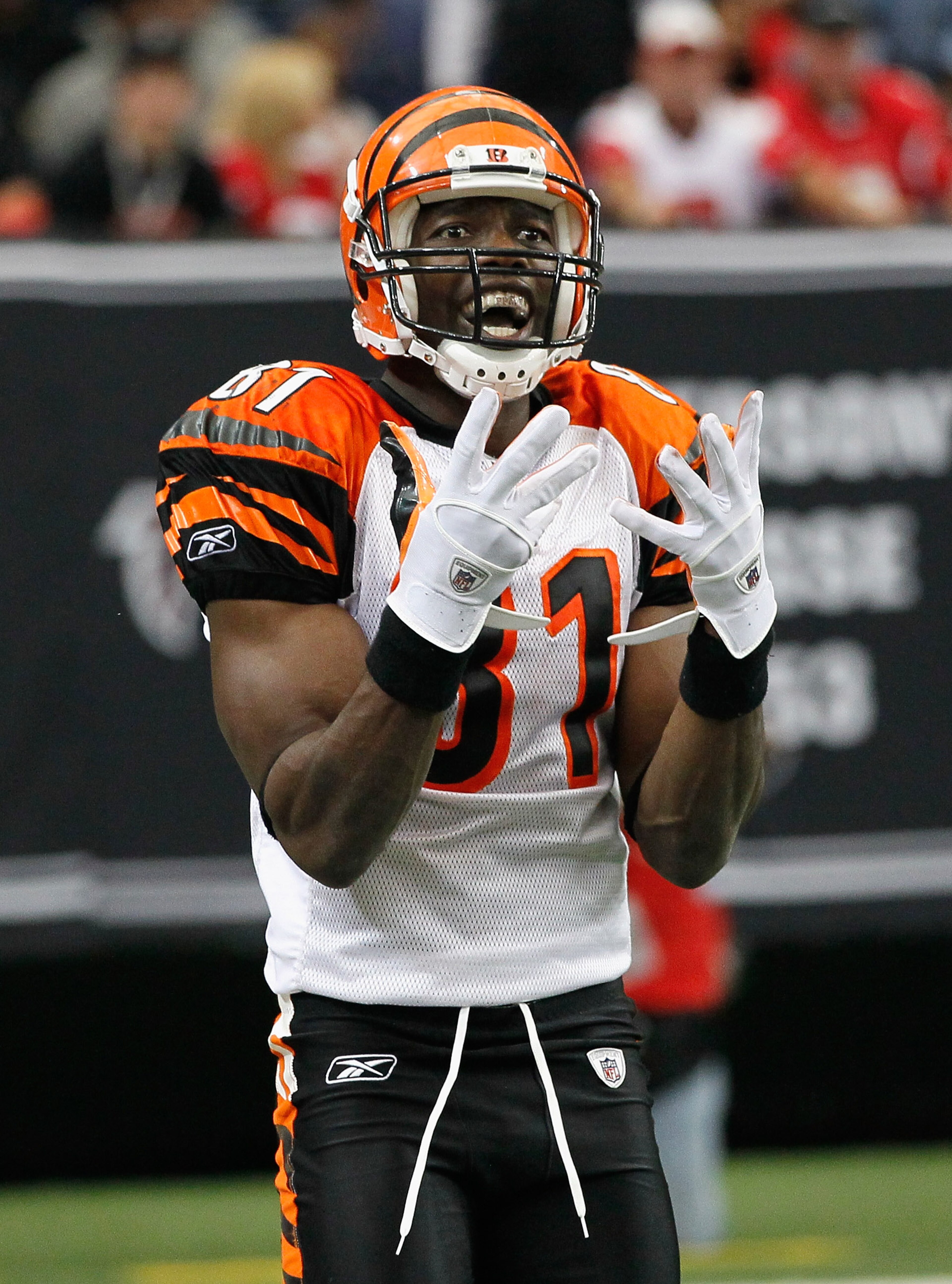 ATLANTA - OCTOBER 24: Terrell Owens #81 of the Cincinnati Bengals against the Atlanta Falcons at Georgia Dome on October 24, 2010 in Atlanta, Georgia. (Photo by Kevin C. Cox/Getty Images) ATLANTA - OCTOBER 24: Terrell Owens #81 of the Cincinnati Bengals against the Atlanta Falcons at Georgia Dome on October 24, 2010 in Atlanta, Georgia. (Photo by Kevin C. Cox/Getty Images)