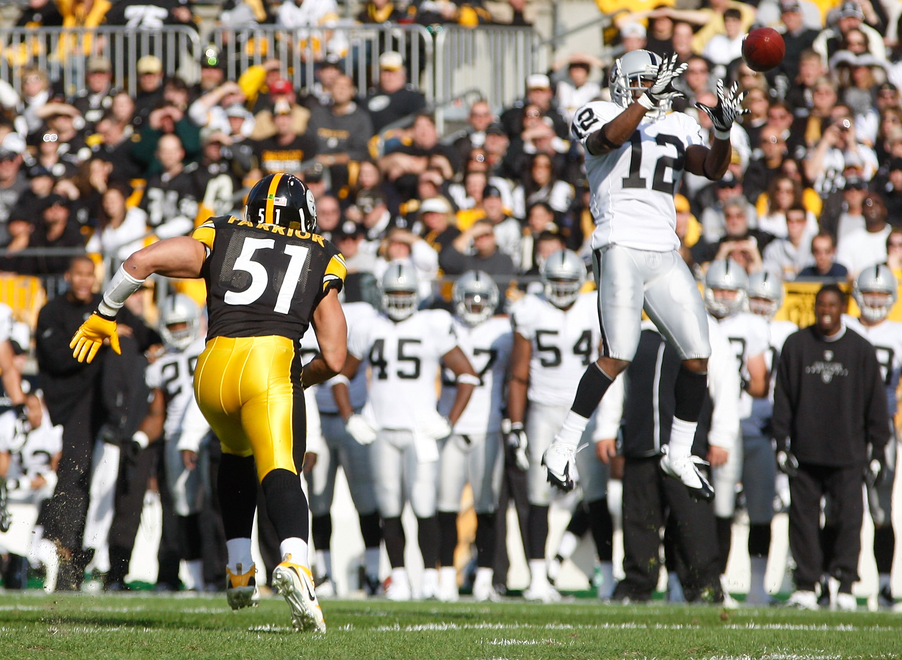 PITTSBURGH - NOVEMBER 21:  Jacoby Ford #12 of the Oakland Raiders catches  a pass in front of James Farrior #51 of the Pittsburgh Steelers during the game on November 21, 2010 at Heinz Field in Pittsburgh, Pennsylvania.  (Photo by Jared Wickerham/Getty Im