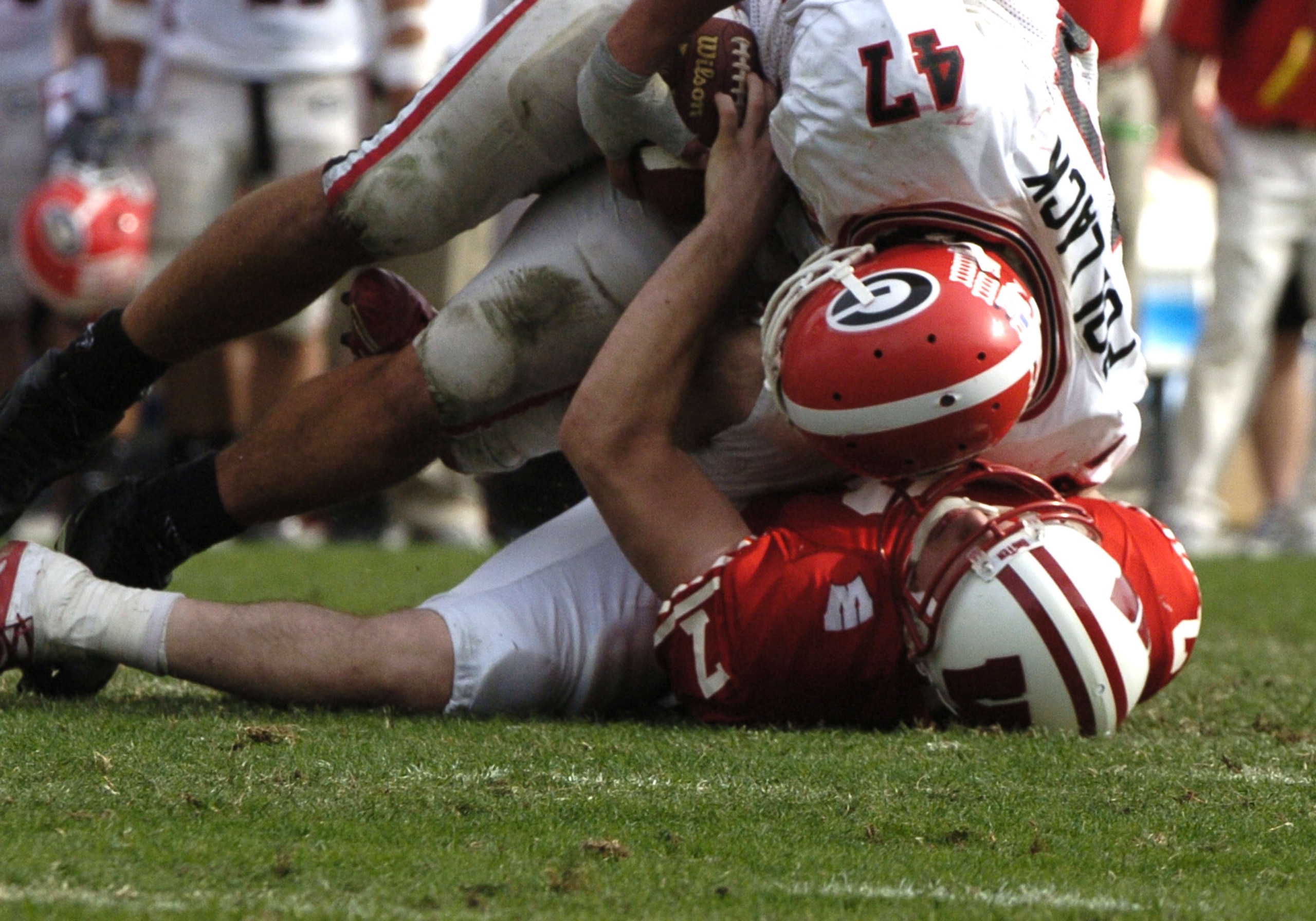 Wisconsin defensive end David Pollack snatches the ball from Wisconsin quarterback John Stocco  at the 2005 Outback Bowl January 1, 2005 at Raymond James Stadium, Tampa, Florida.  Georgia defeated Wisconsin 24 - 21. (Photo by A. Messerschmidt/Getty Images
