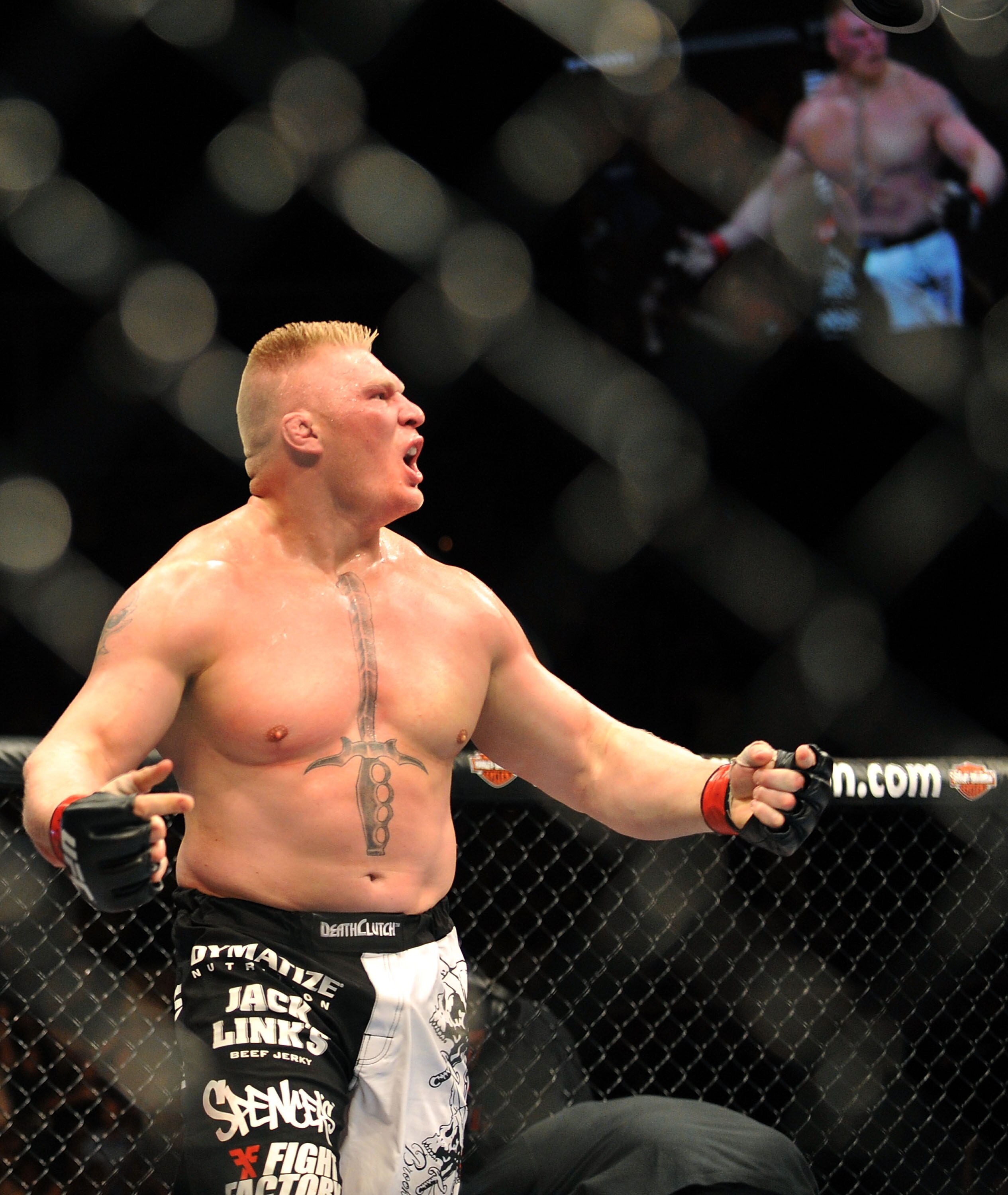 LAS VEGAS - JULY 11: Brock Lesnar reacts after knocking out Frank Mir during their heavyweight title bout during UFC 100 on July 11, 2009 in Las Vegas, Nevada. (Photo by Jon Kopaloff/Getty Images) LAS VEGAS - JULY 11: Brock Lesnar reacts after knocking out Frank Mir during their heavyweight title bout during UFC 100 on July 11, 2009 in Las Vegas, Nevada. (Photo by Jon Kopaloff/Getty Images)