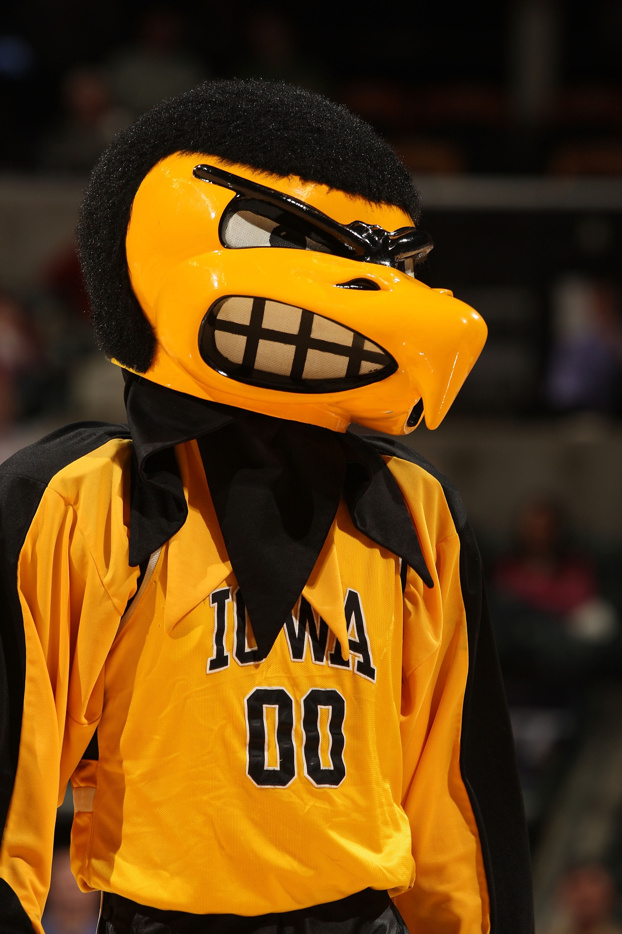 INDIANAPOLIS - MARCH 12: Herky the mascot of the Iowa Hawkeyes looks on against the Michigan Wolveriens during the first round of the Big Ten Men's Basketball Tournament at Conseco Fieldhouse on March 12, 2009 in Indianapolis, Indiana. (Photo by Jonatha INDIANAPOLIS - MARCH 12: Herky the mascot of the Iowa Hawkeyes looks on against the Michigan Wolveriens during the first round of the Big Ten Men's Basketball Tournament at Conseco Fieldhouse on March 12, 2009 in Indianapolis, Indiana. (Photo by Jonatha