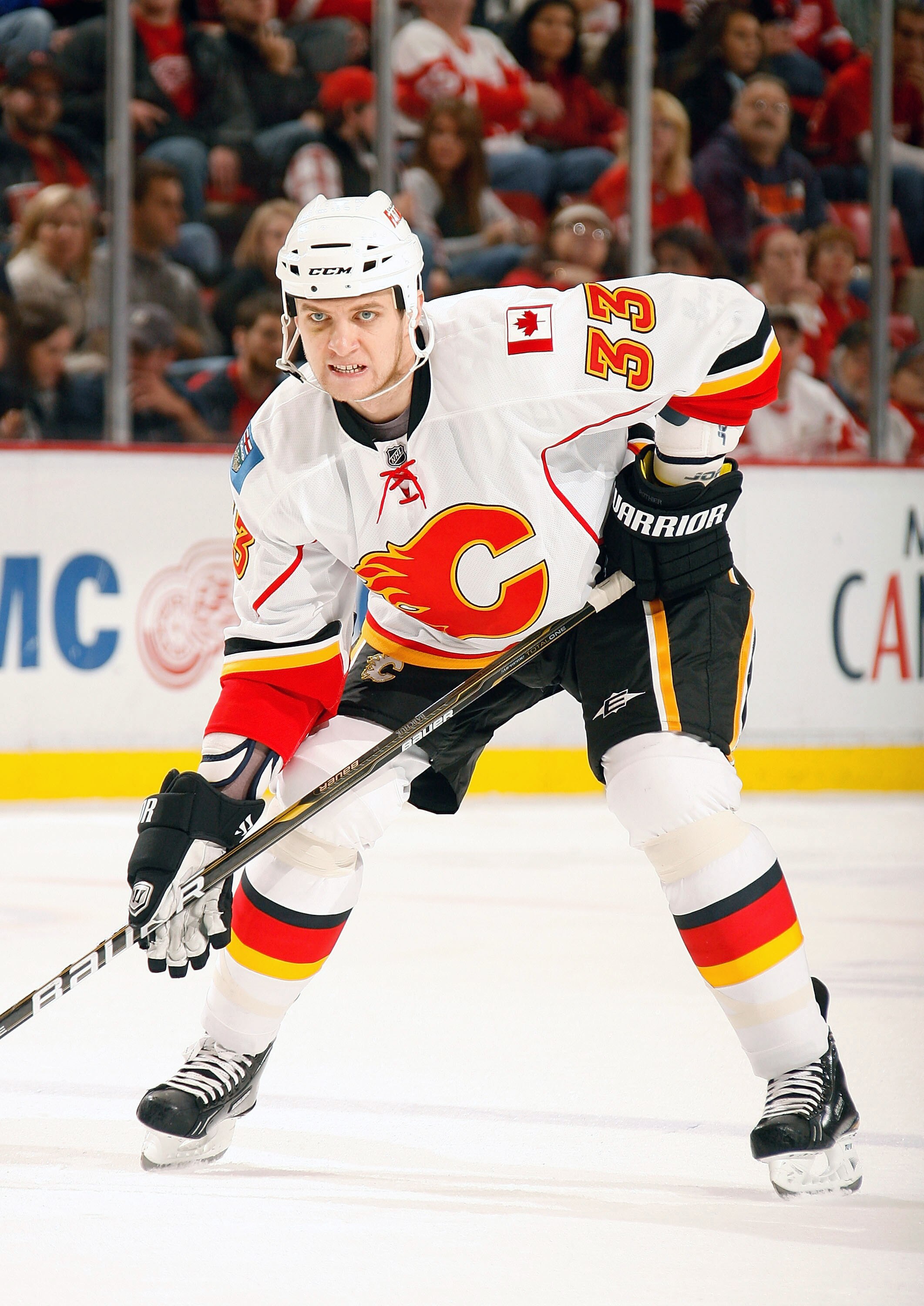 DETROIT, MI - NOVEMBER 21:  Anton Babchuk #33 of the Calgary Flames skates against the Detroit Red Wings during their NHL game at Joe Louis Arena on November 21, 2010 in Detroit, Michigan.(Photo by Dave Sandford/Getty Images)