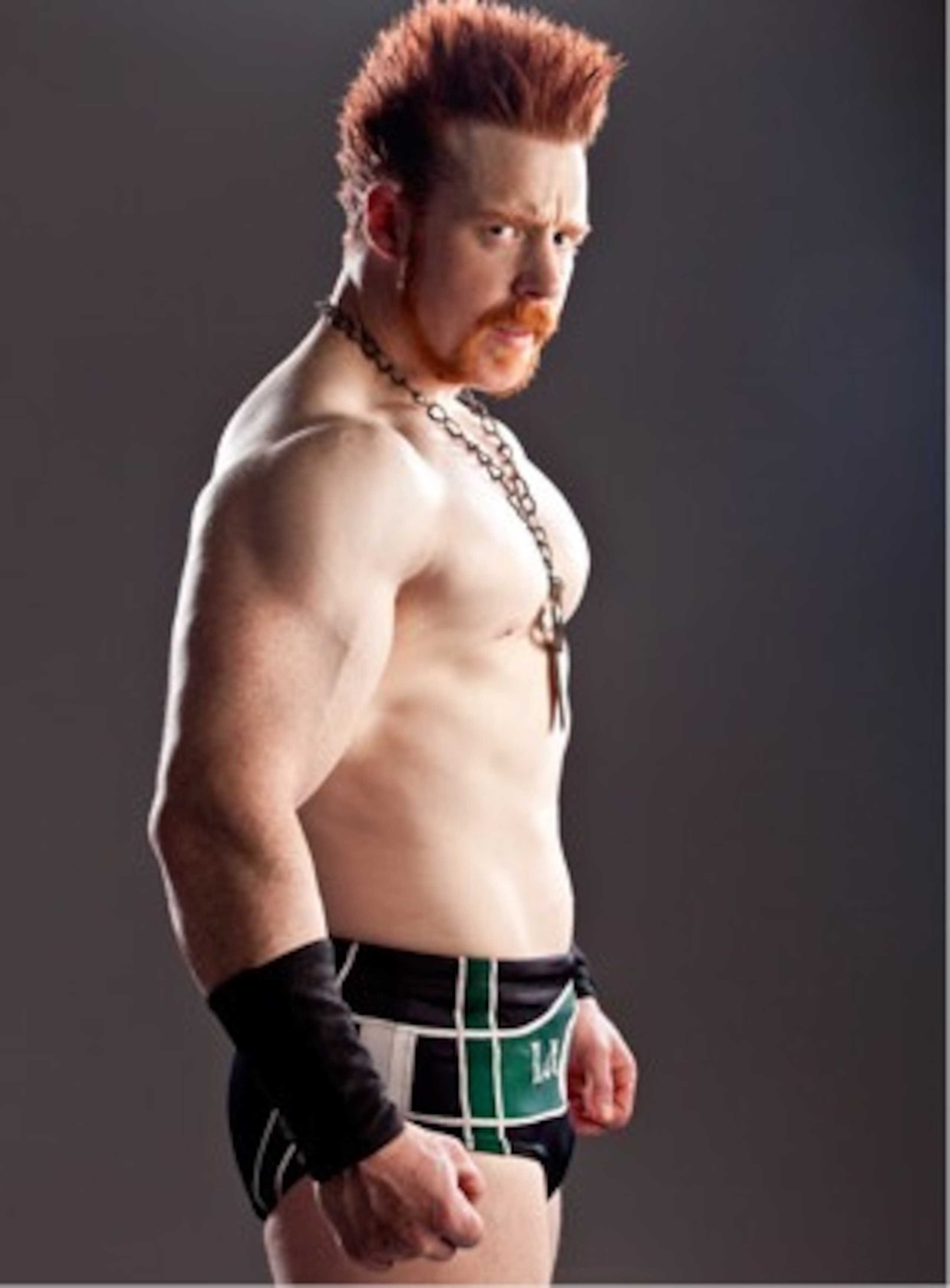 Sheamus, photo copyright to WWE.com