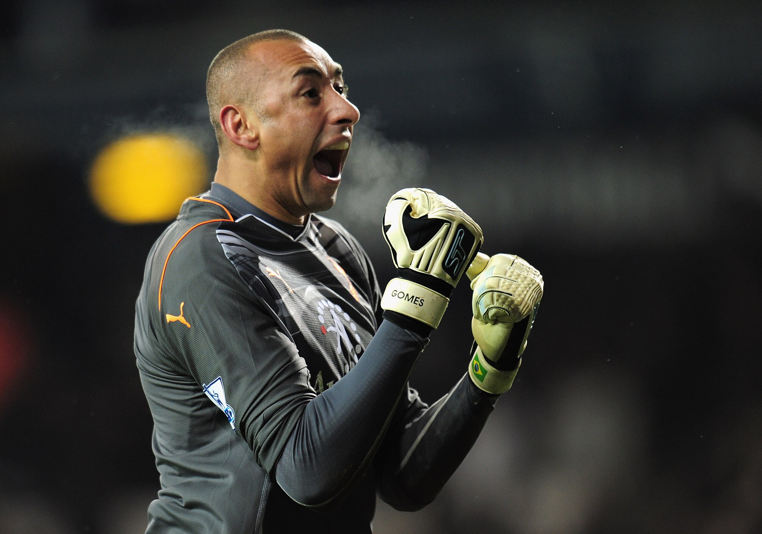 LONDON, ENGLAND - NOVEMBER 28:  Heurelho Gomes of Tottenham Hotspur celebrates victory in the Barclays Premier League match between Tottenham Hotspur and Liverpool at White Hart Lane on November 28, 2010 in London, England.  (Photo by Shaun Botterill/Gett