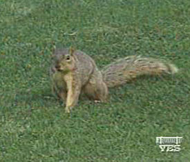 Photo courtesy http://cleveland.indians.mlb.com/news/article.jsp?ymd=20040825&content_id=838421&vkey=news_cle&fext=.jsp&c_id=cle