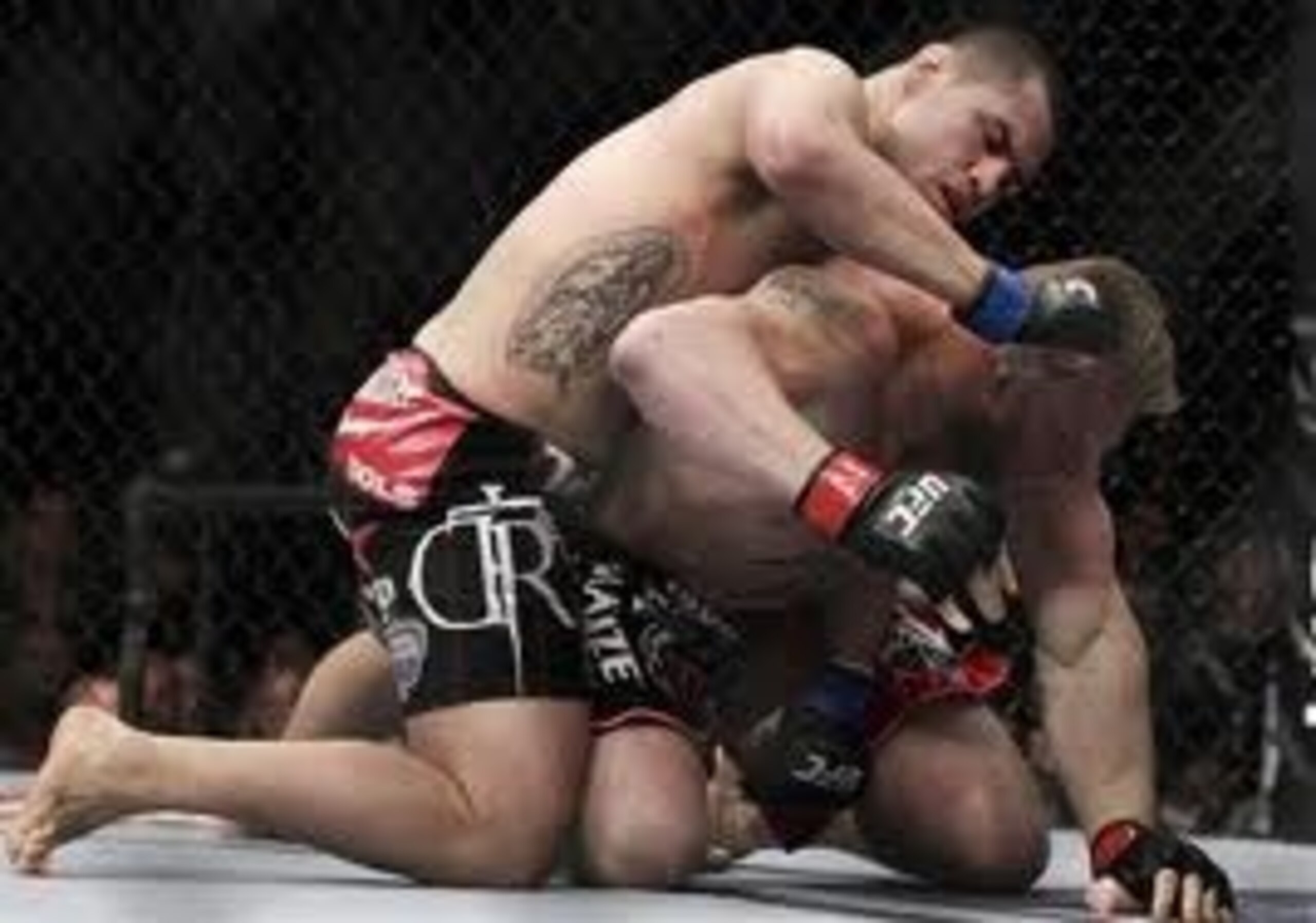 Courtesy of Zuffa
