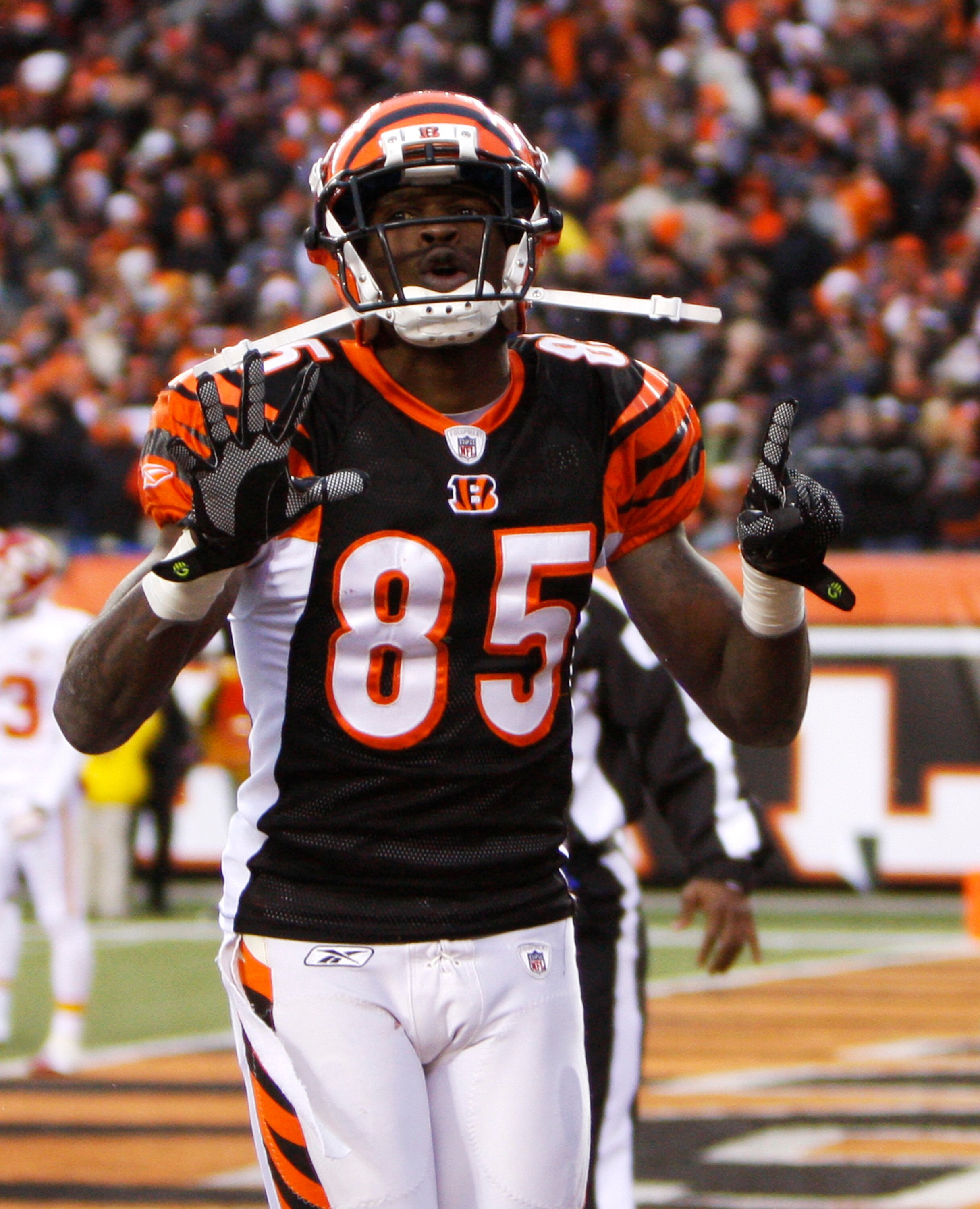 CINCINNATI - DECEMBER 27: Chad Ochocinco  #85 of the Cincinnati Bengals celebrates his touchdown catch by holding up the number 15 in memory of Chris Henry against the Kansas City Chiefs in their NFL game at Paul Brown Stadium December 27, 2009 in Cincinn