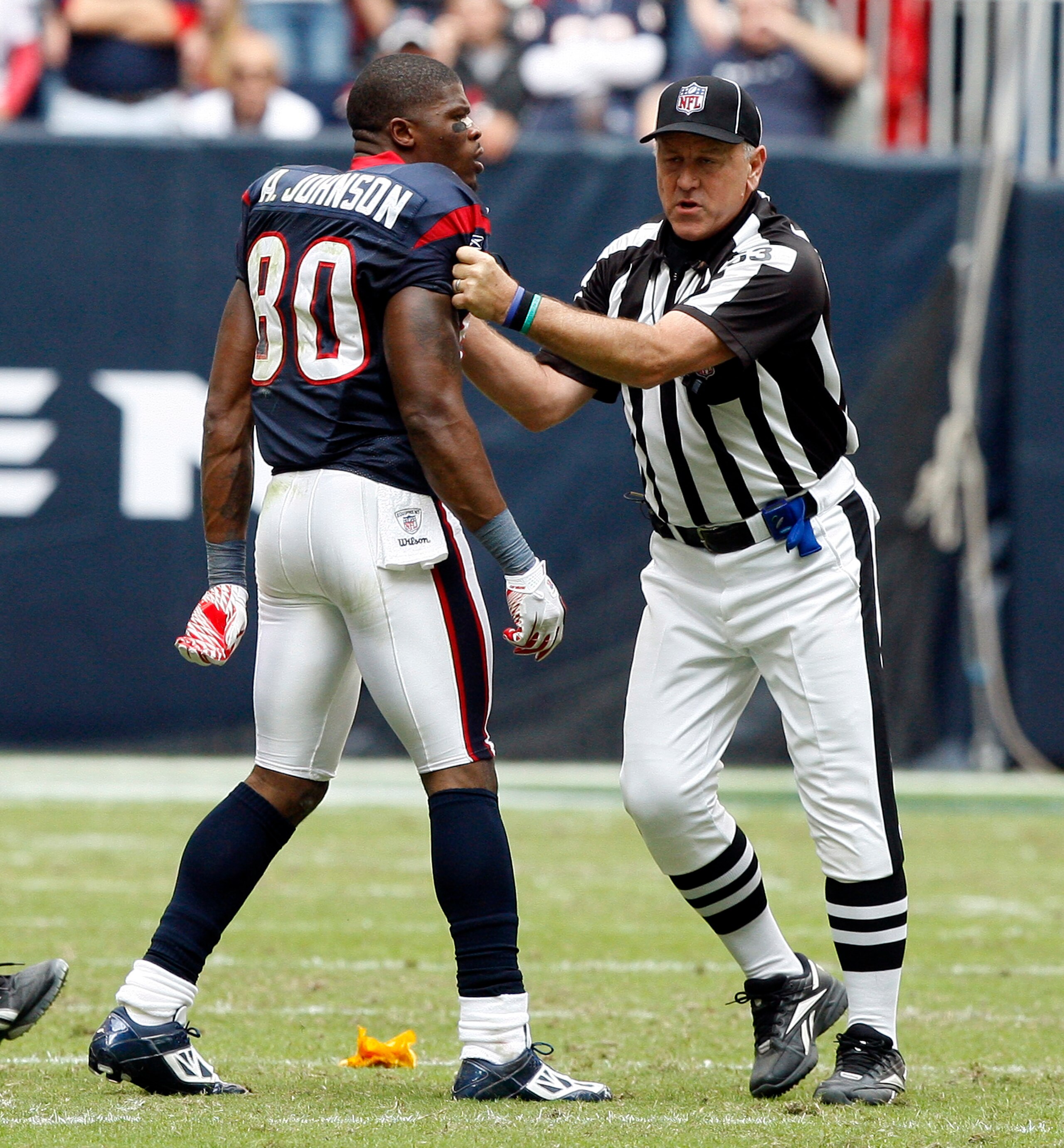 HOUSTON - NOVEMBER 28:  Wide receiver Andre Johnson #80 of the Houston Texans is separated by umpire Garth DeFerlice #53 from cornerback Cortland Finnegan #31 of the Tennessee Titans after the two exchanged punches in the fourth quarter at Reliant Stadium