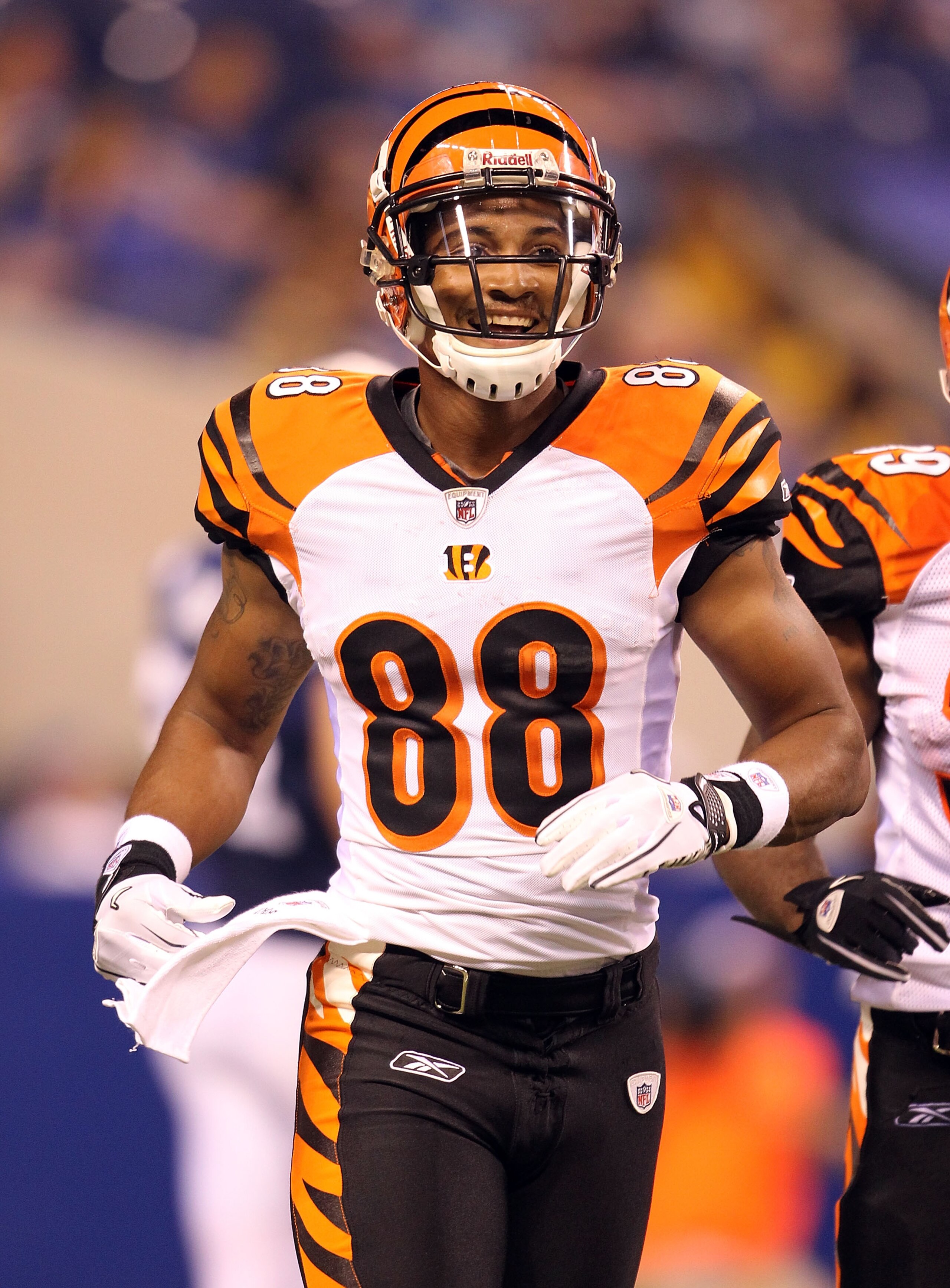INDIANAPOLIS - SEPTEMBER 02:  Dezmon Briscoe #88 and Jordan Palmer #5 of the Cincinnati Bengals celebrate after Briscoe caught a touchdown pass during the NFL preseason game against the Indianapolis Colts at Lucas Oil Stadium on September 2, 2010 in India