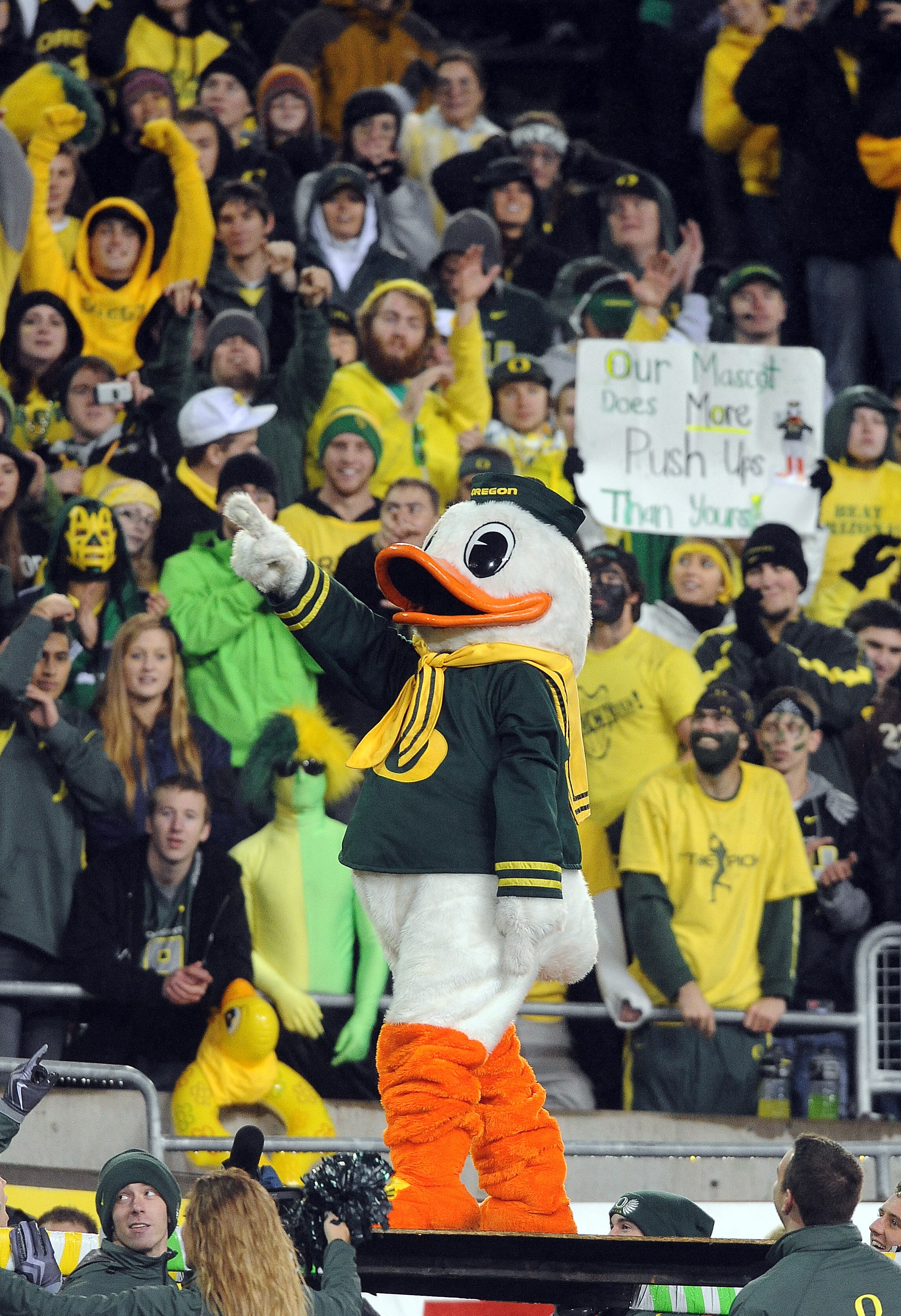 EUGENE, OR - NOVEMBER 26: Oregon Ducks fans cheer as mascot 'Puddles' prepares to do some push ups in the fourth quarter of the game against the Arizona Wildcats at Autzen Stadium on November 26, 2010 in Eugene, Oregon. Puddles does push ups for every poi