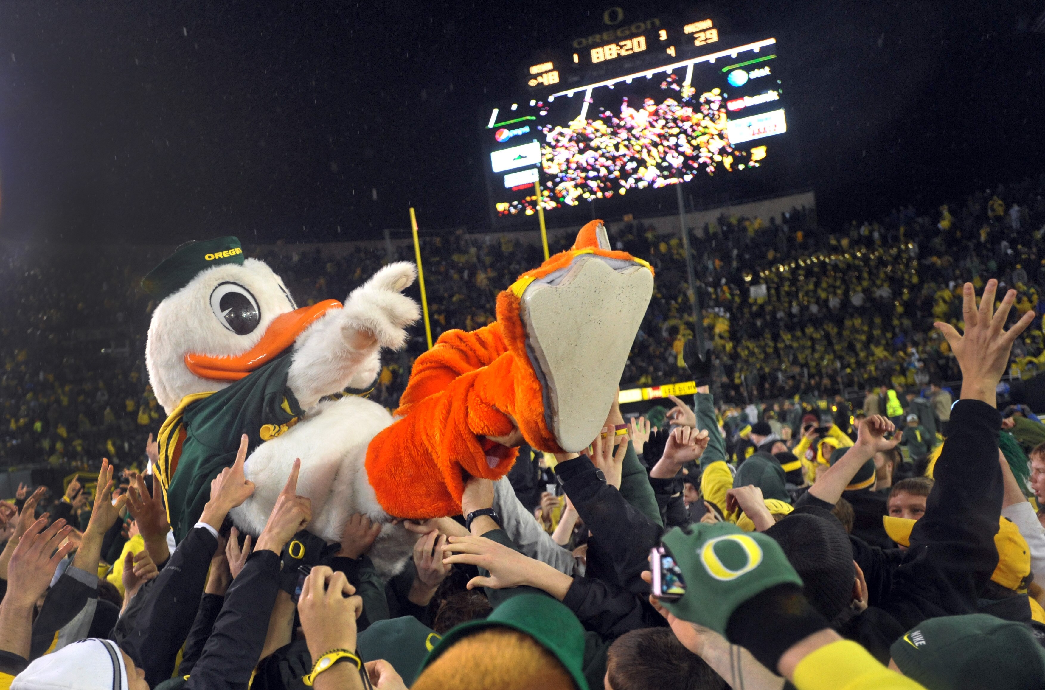 EUGENE, OR - NOVEMBER 26: Oregon Ducks mascot 'Puddles' is lifted on the shoulders of fans after the game against the Arizona Wildcats at Autzen Stadium on November 26, 2010 in Eugene, Oregon. The Ducks won the game 48-29. (Photo by Steve Dykes/Getty Imag