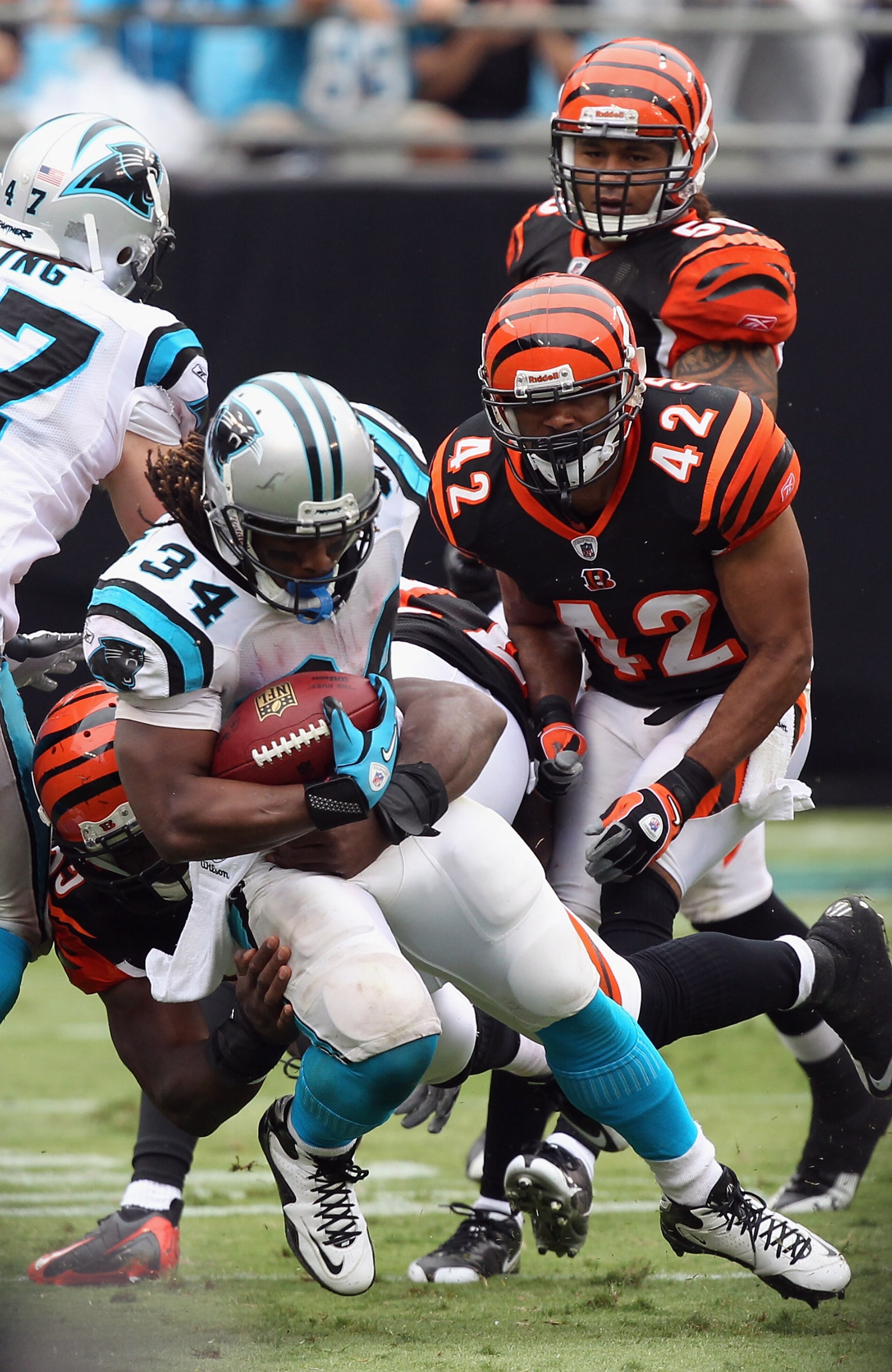 CHARLOTTE, NC - SEPTEMBER 26:  DeAngelo Williams #34 of the Carolina Panthers is tackled by the defense of the Cincinnati Bengals during their game at Bank of America Stadium on September 26, 2010 in Charlotte, North Carolina.  (Photo by Streeter Lecka/Ge