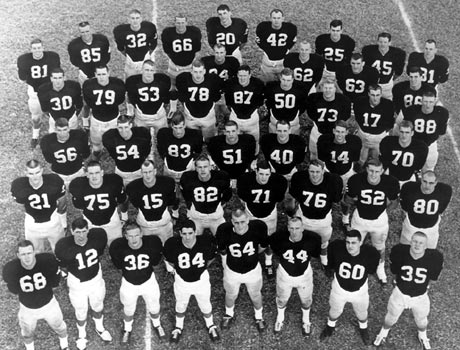 Makes your heart glad just to look at 'em, don't it?