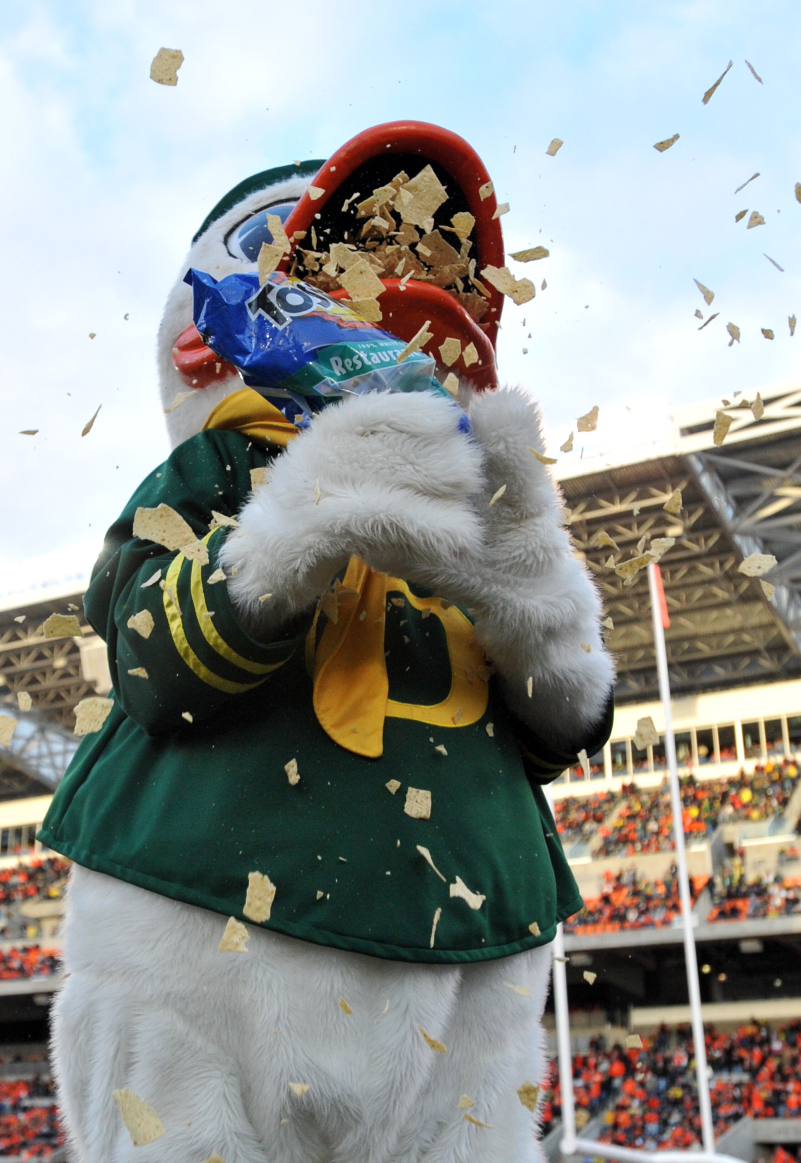 CORVALLIS, OR - DECEMBER 4: Oregon Ducks mascot 'Puddles' eats Tostitos chips as time winds down in the fourth quarter of the game against the Oregon State Beavers at Reser Stadium on December 4, 2010 in Corvallis, Oregon. The Ducks beat the Beavers 37-20