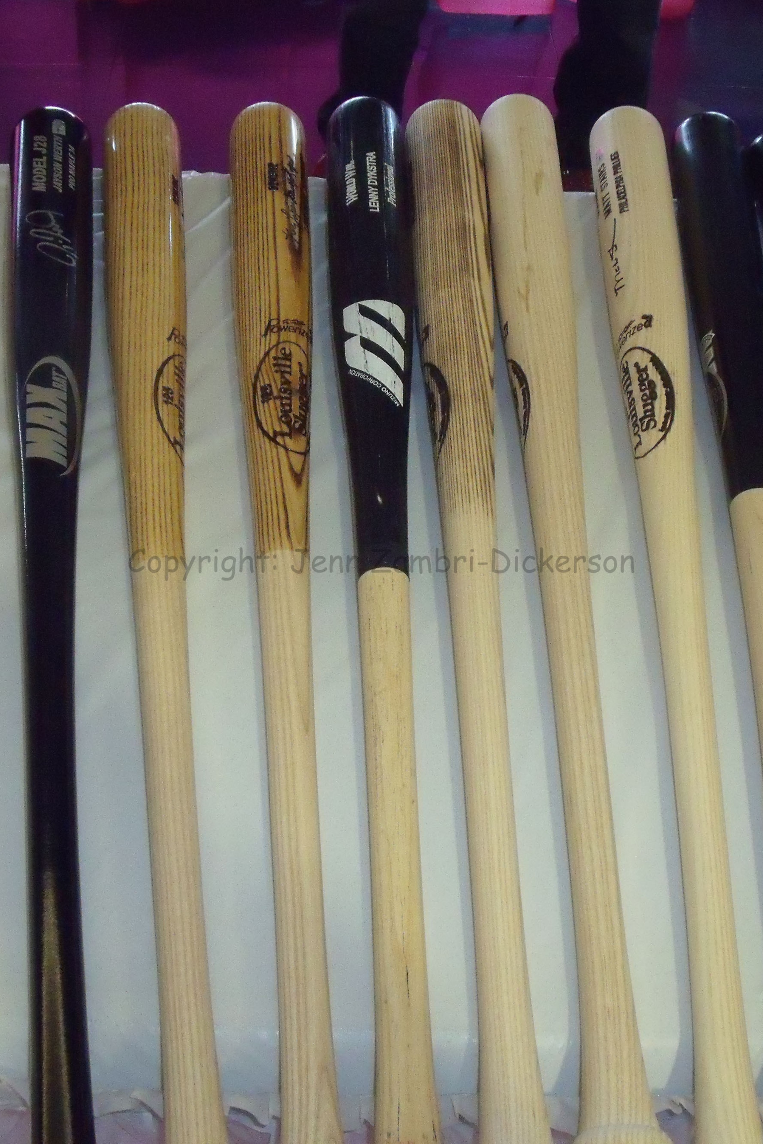 Bats / Jenn Zambri Bats / Jenn Zambri