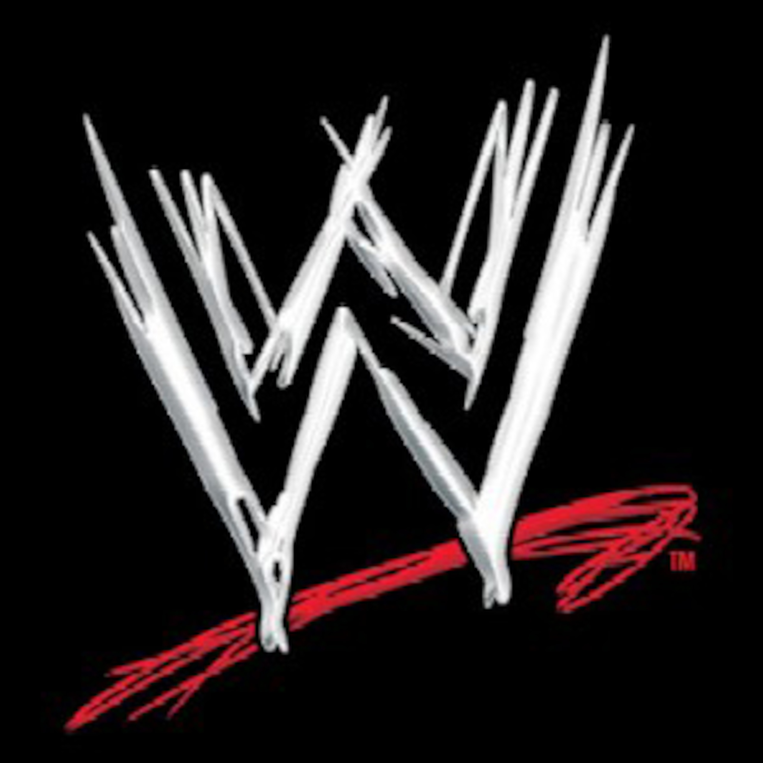 Who wins the Divas championship?
