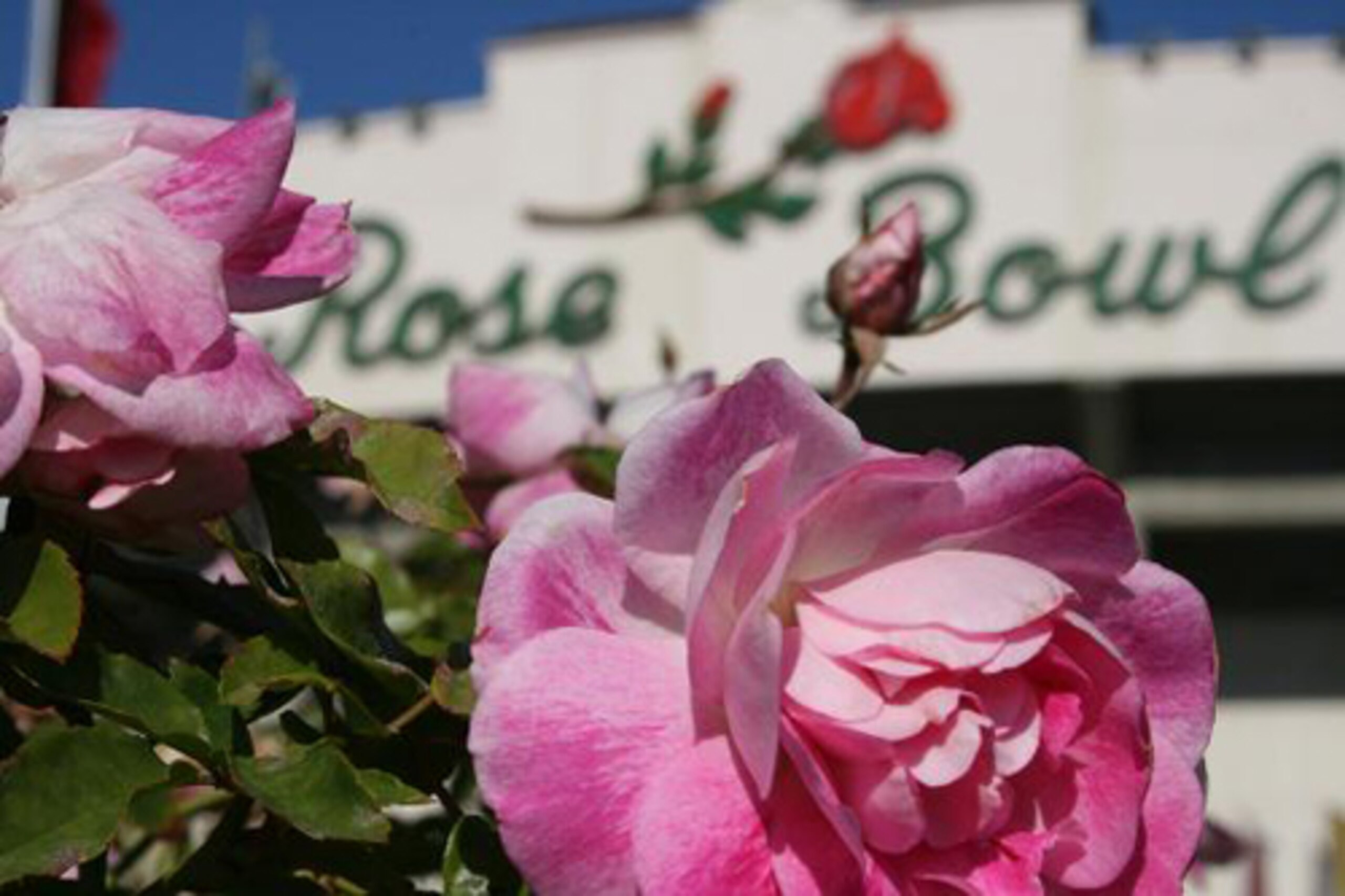 The Rose Bowl is the most iconic bowl game in all of college football. The Rose Bowl is the most iconic bowl game in all of college football.