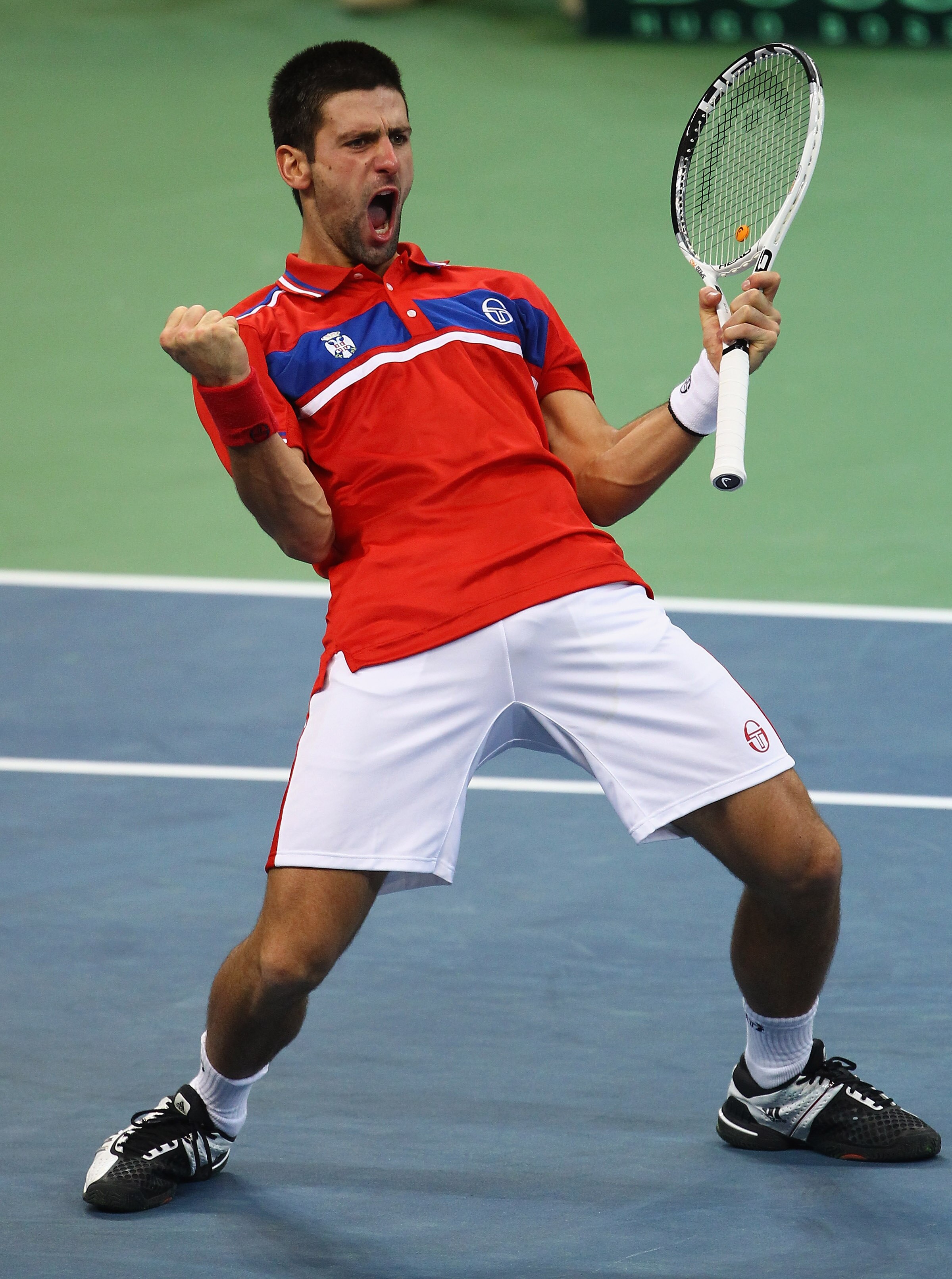 BELGRADE, SERBIA - DECEMBER 05:  Novak Djokovic of Serbia celebrates at match point after defeating Gael Monfils of France during day three of the Davis Cup Tennis Final at the Begrade Arena on December 5, 2010 in Belgrade, Serbia.  (Photo by Julian Finne