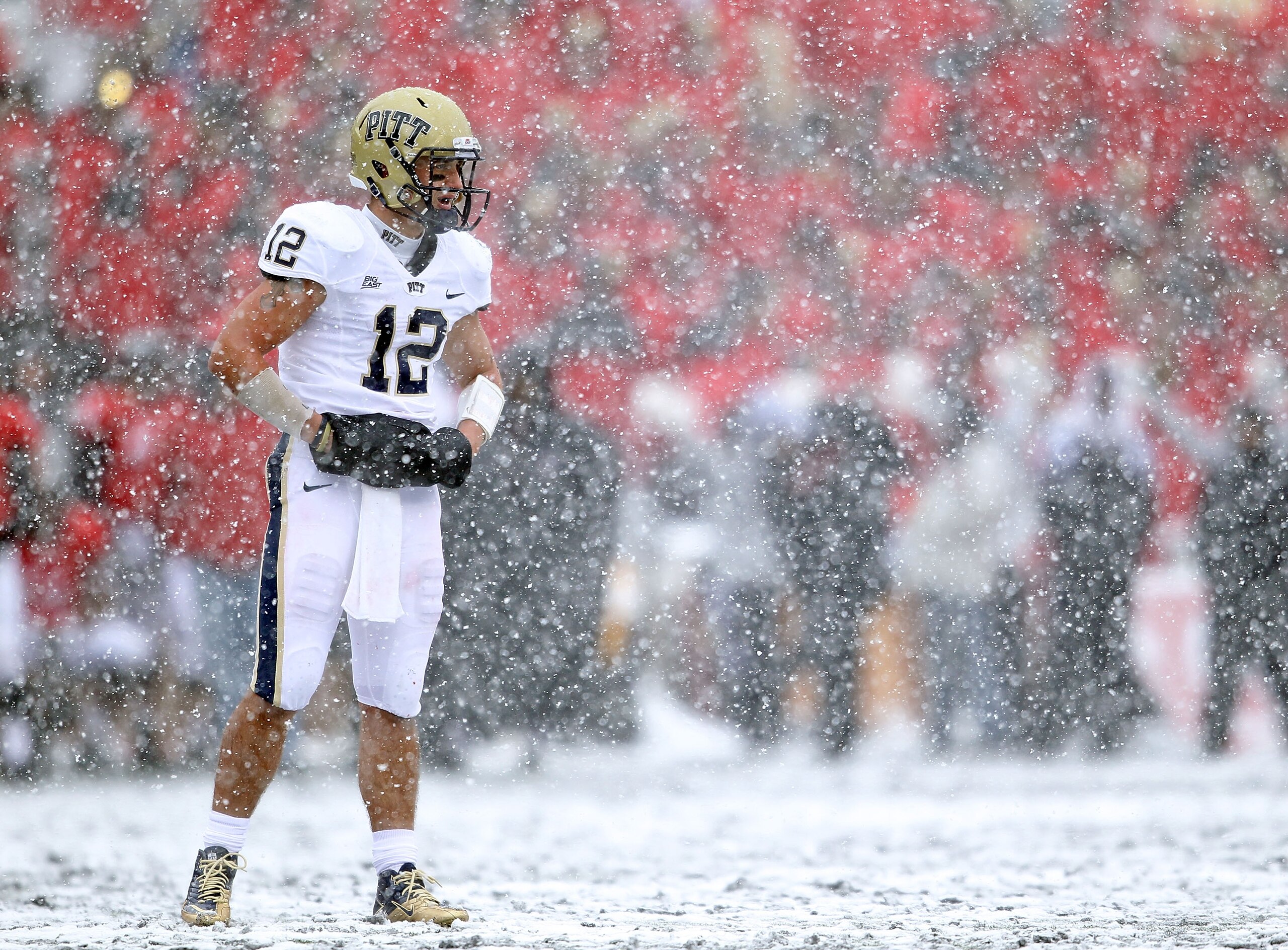 CINCINNATI, OH - DECEMBER 04:  Tino Sunseri #12 of the Pittsburgh Panthers looks to the sidelines during the Big East Conference game against the Cincinnati Bearcats at Nippert Stadium on December 4, 2010 in Cincinnati, Ohio.  Pittsburgh won 28-10.  (Phot