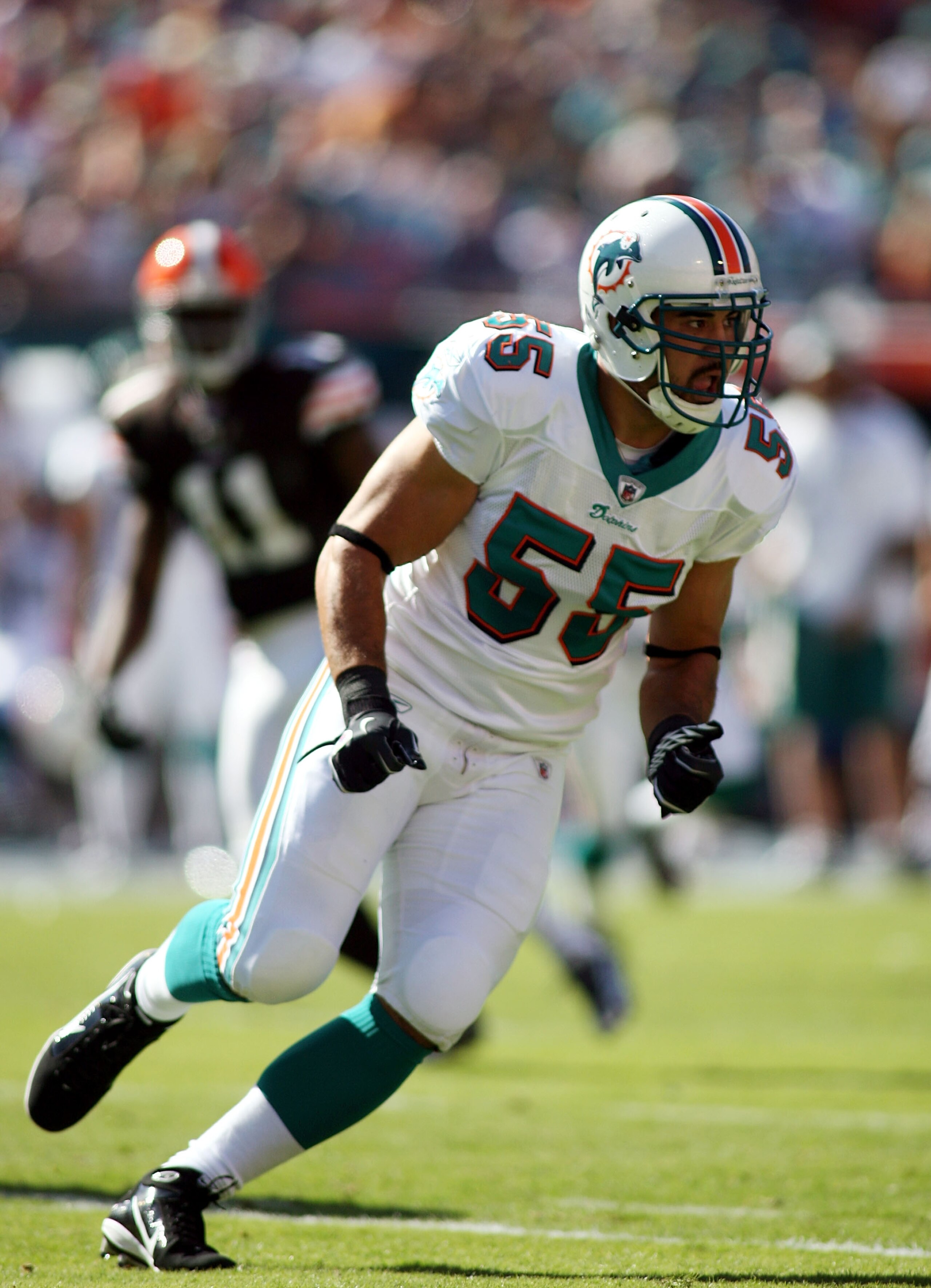 MIAMI, FL - DECEMBER 05: Linebacker Koa Misi #55 of the Miami Dolphins runs against the Cleveland Browns at Sun Life Stadium on December 5, 2010 in Miami, Florida. Cleveland defeated Miami 13-10. (Photo by Marc Serota/Getty Images) MIAMI, FL - DECEMBER 05: Linebacker Koa Misi #55 of the Miami Dolphins runs against the Cleveland Browns at Sun Life Stadium on December 5, 2010 in Miami, Florida. Cleveland defeated Miami 13-10. (Photo by Marc Serota/Getty Images)