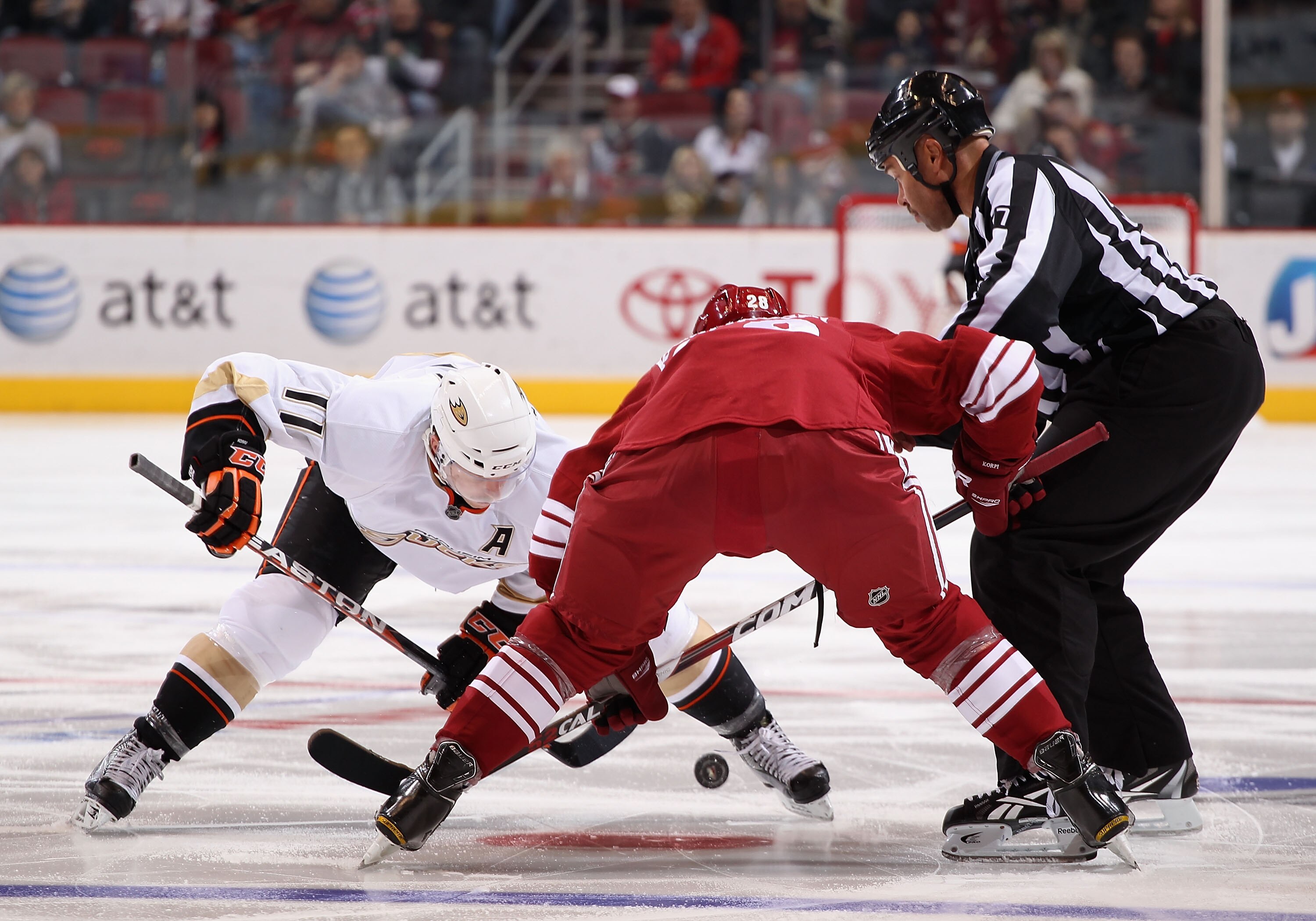 GLENDALE, AZ - NOVEMBER 27:  Saku Koivu #11 of the Anaheim Ducks faces off against the Phoenix Coyotes during the NHL game at Jobing.com Arena on November 27, 2010 in Glendale, Arizona.   The Ducks defeated the Coyotes 6-4.  (Photo by Christian Petersen/G