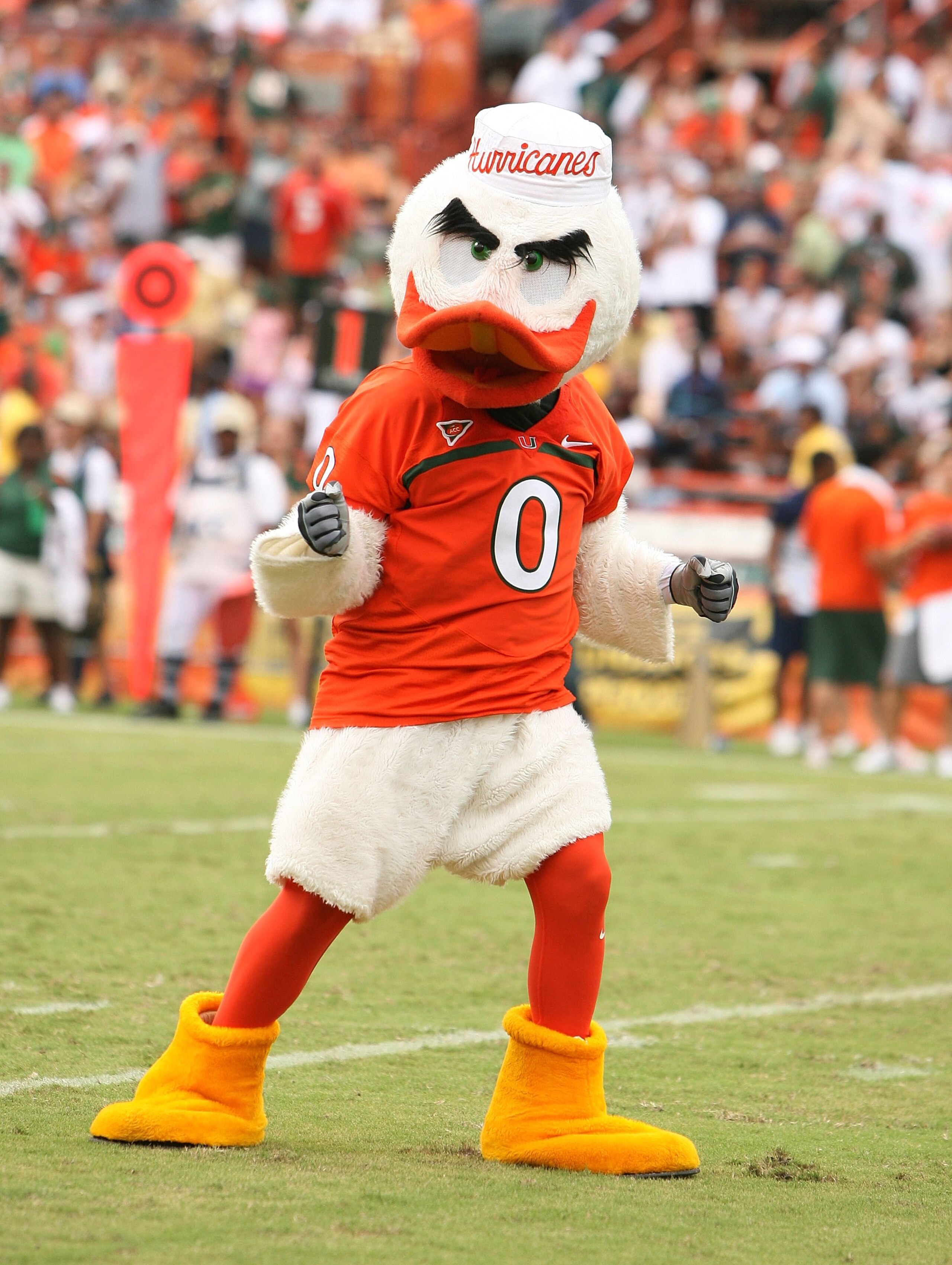 CORAL GABLES, FL - OCTOBER 13:  Sebastian the Ibis performs as the Miami Hurricanes take on the Georgia Tech Yellow Jacketsat the Orange Bowl on October 13, 2007 in Coral Gables, Florida. Georgia Tech defeated Miami 17-14.  (Photo by Doug Benc/Getty Image