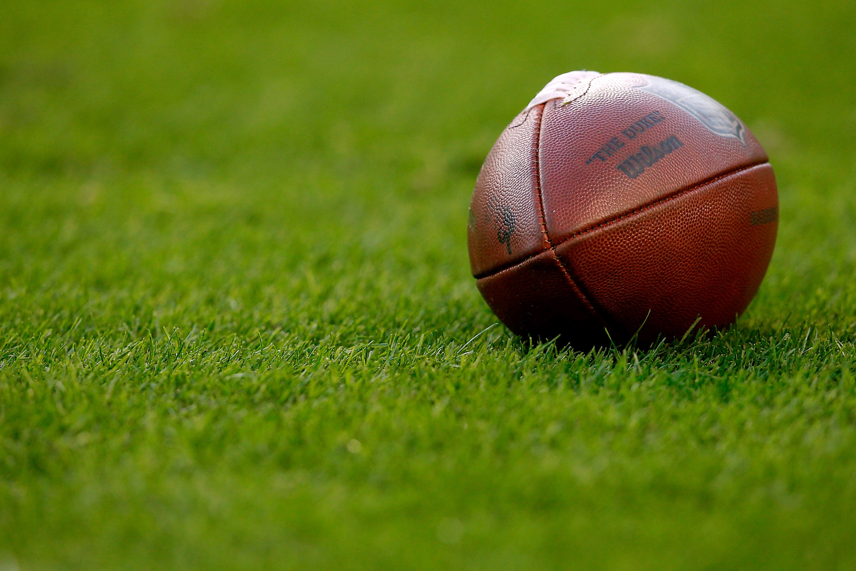 PITTSBURGH, PA - NOVEMBER 21:  An official NFL football sits in the grass during the game between the Pittsburgh Steelers and the Oakland Raiders on November 21, 2010 at Heinz Field in Pittsburgh, Pennsylvania.  (Photo by Jared Wickerham/Getty Images)