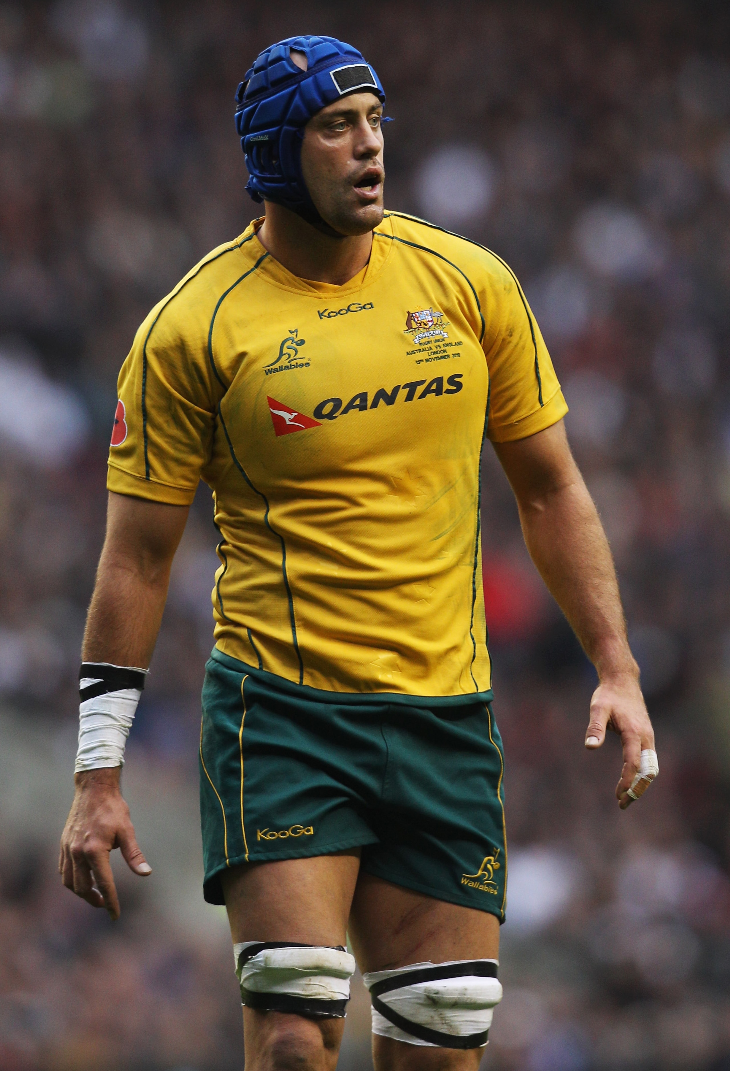 LONDON, ENGLAND - NOVEMBER 13:  Nathan Sharpe of Australia looks on during the Investec international test match between England and Australia at Twickenham Stadium on November 13, 2010 in London, England.  (Photo by David Rogers/Getty Images)