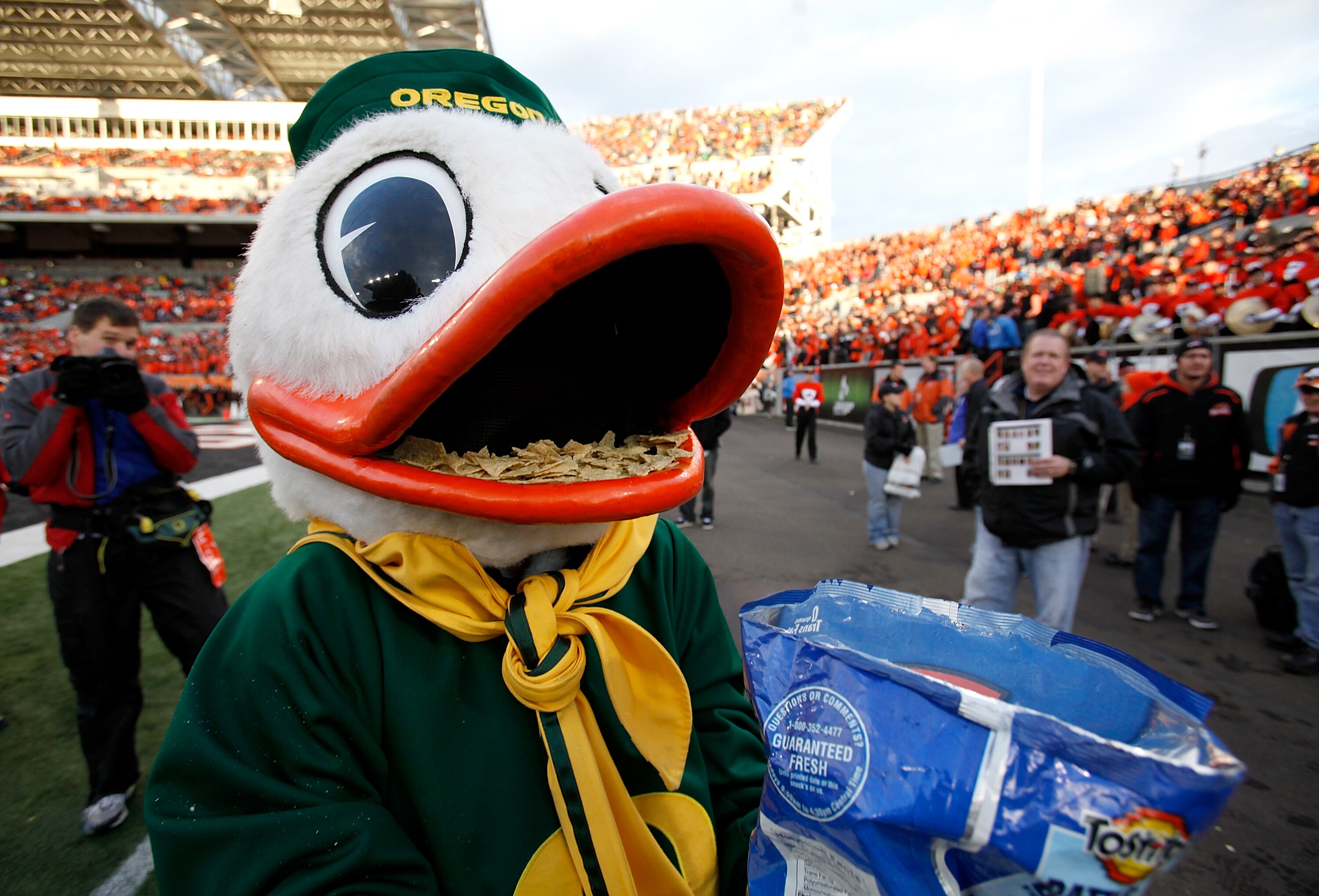 CORVALLIS, OR - DECEMBER 04:  Puddles the mascot of the Oregon Ducks eats Tostitios corn chips after the 37-20 victory over the Oregon State Beavers clinched a spot in the Tostitos BCS National Championship game during the 114th Civil War on December 4, 2