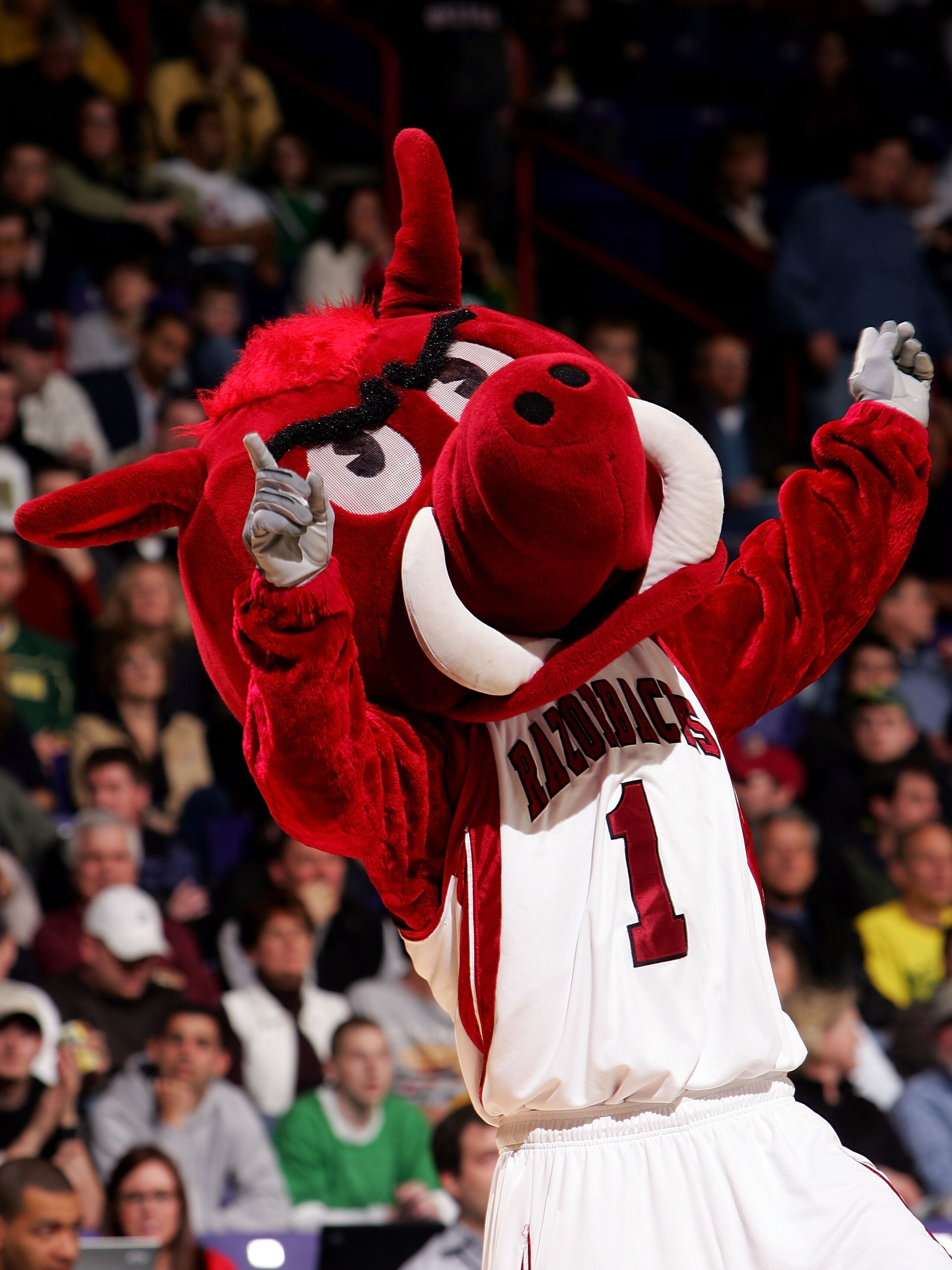 SPOKANE, WA - MARCH 16:  The Arkansas Razorbacks mascot cheers on fans during a break in game action in the first round of the NCAA Men's Basketball Tournament against the USC Trojans at Spokane Memorial Arena on March 16, 2007 in Spokane, Washington.  (P