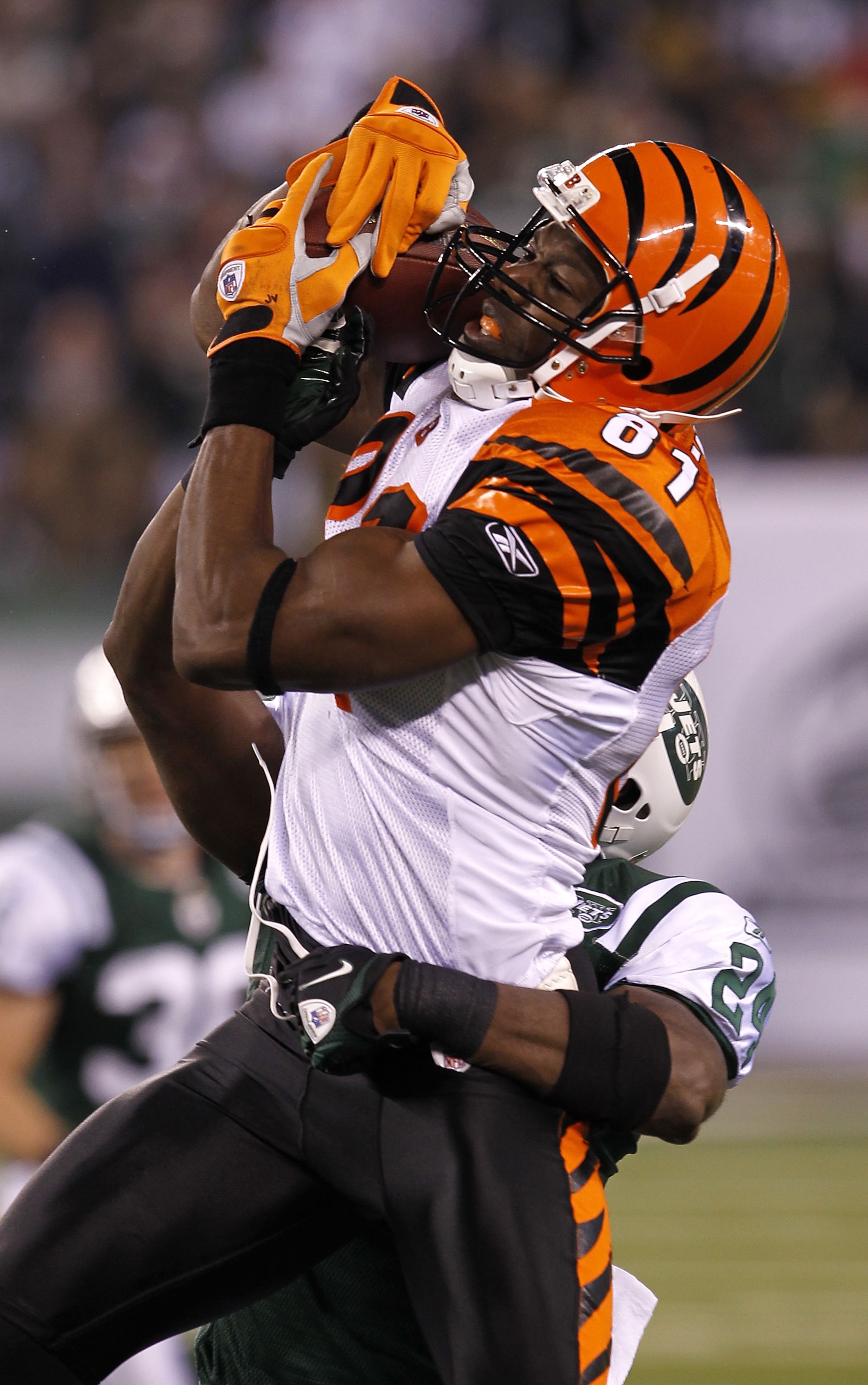 EAST RUTHERFORD, NJ - NOVEMBER 25: Terrell Owens #81 of the Cincinnati Bengals catches a pass under pressure from Darrell Revis #24 of the New York Jets at New Meadowlands Stadium on November 25, 2010 in East Rutherford, New Jersey. The Jets defeated the