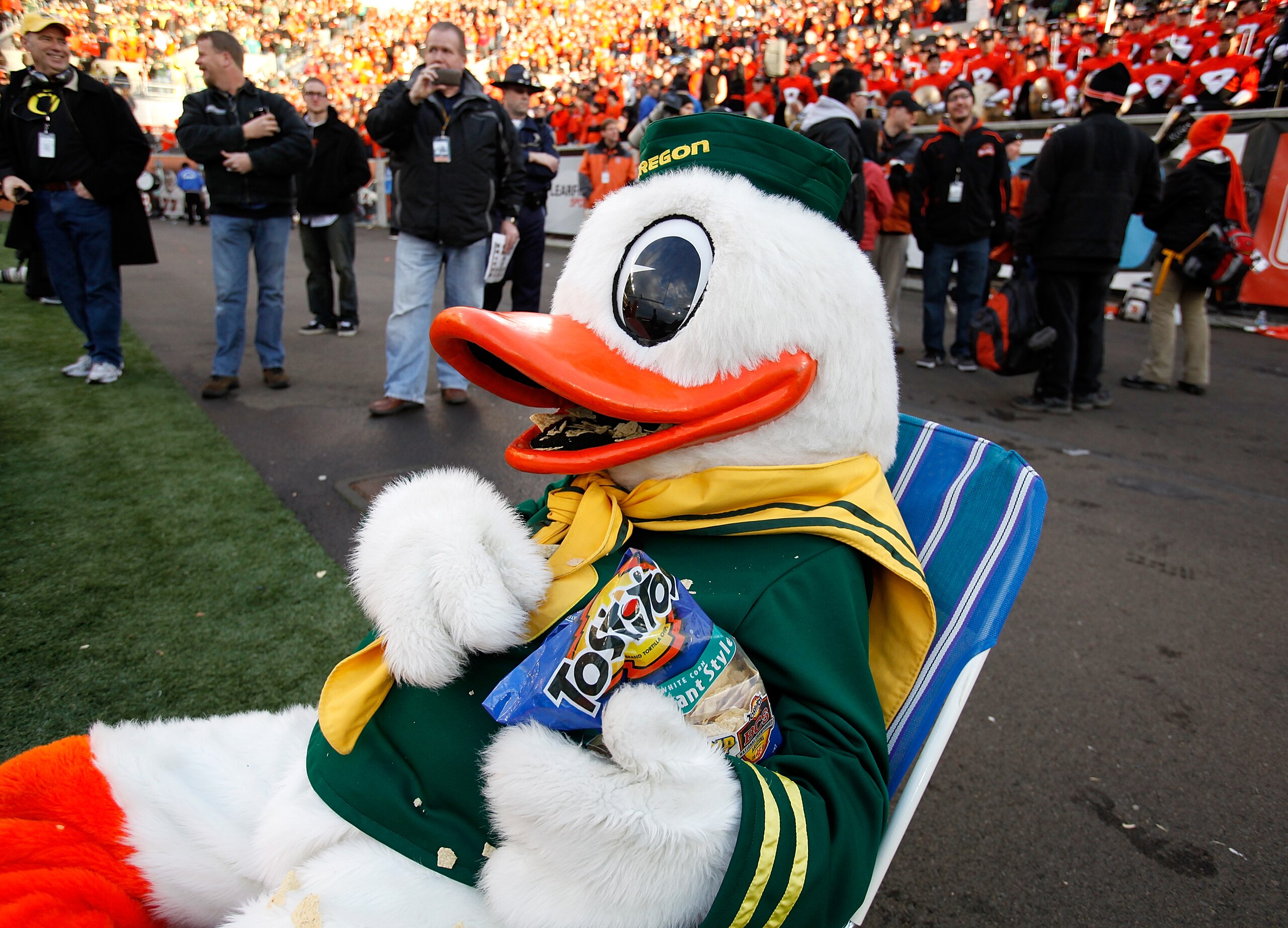 CORVALLIS, OR - DECEMBER 04:  Puddles the mascot of the Oregon Ducks eats Tostitios corn chips after the 37-20 victory over the Oregon State Beavers clinched a spot in the Tostitos BCS National Championship game during the 114th Civil War on December 4, 2