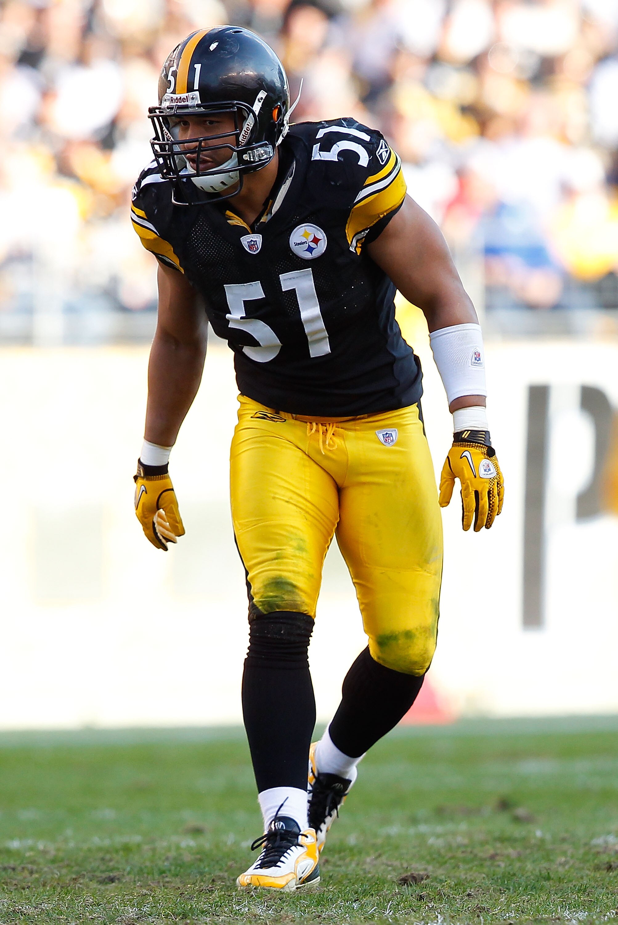 PITTSBURGH, PA - NOVEMBER 21:  James Farrior #51 of the Pittsburgh Steelers lines up before the snap during the game against  the Oakland Raiders on November 21, 2010 at Heinz Field in Pittsburgh, Pennsylvania.  (Photo by Jared Wickerham/Getty Images)