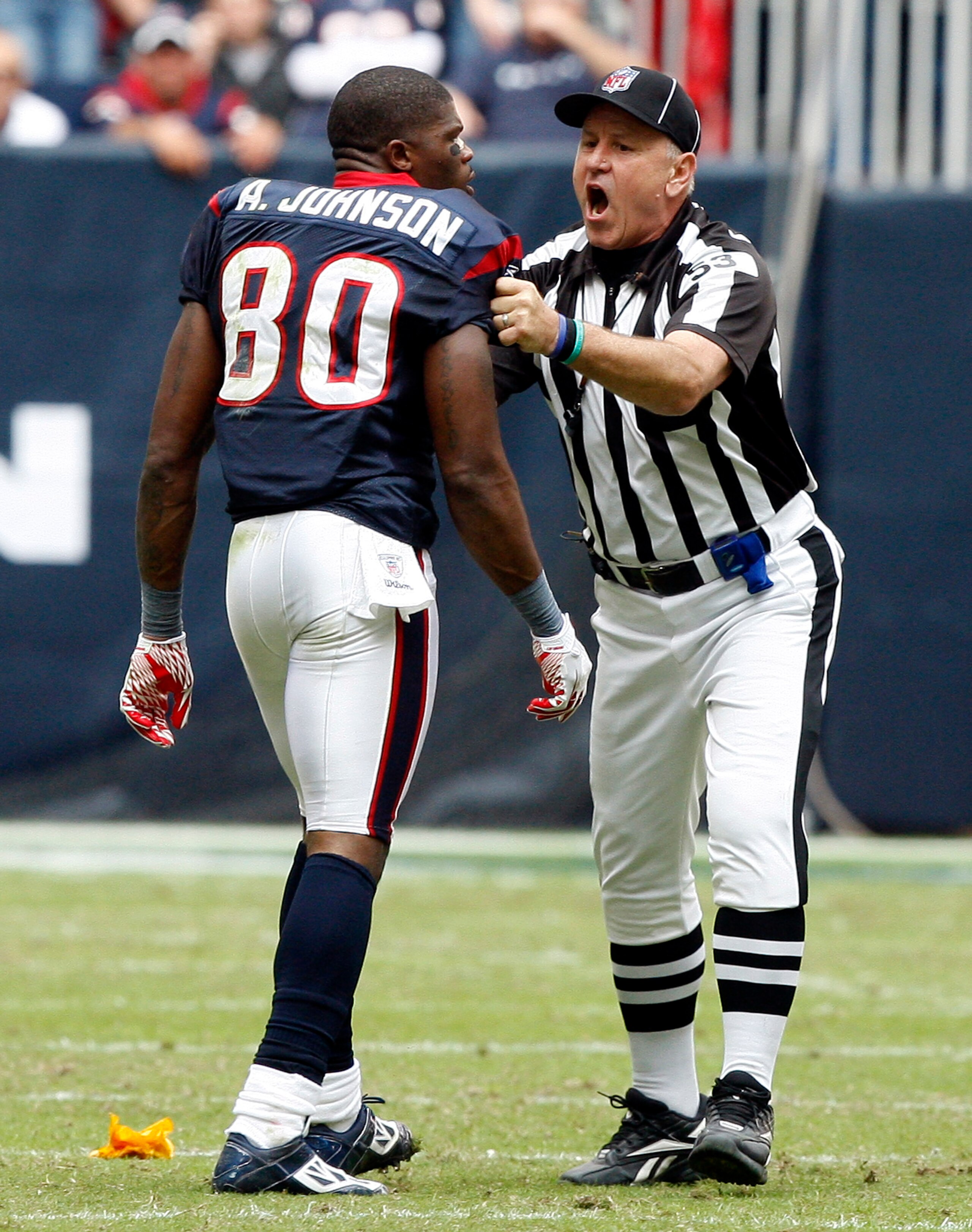 HOUSTON - NOVEMBER 28:  Wide receiver Andre Johnson #80 of the Houston Texans is separated by umpire Garth DeFerlice #53 from cornerback Cortland Finnegan #31 of the Tennessee Titans after the two exchanged punches in the fourth quarter at Reliant Stadium
