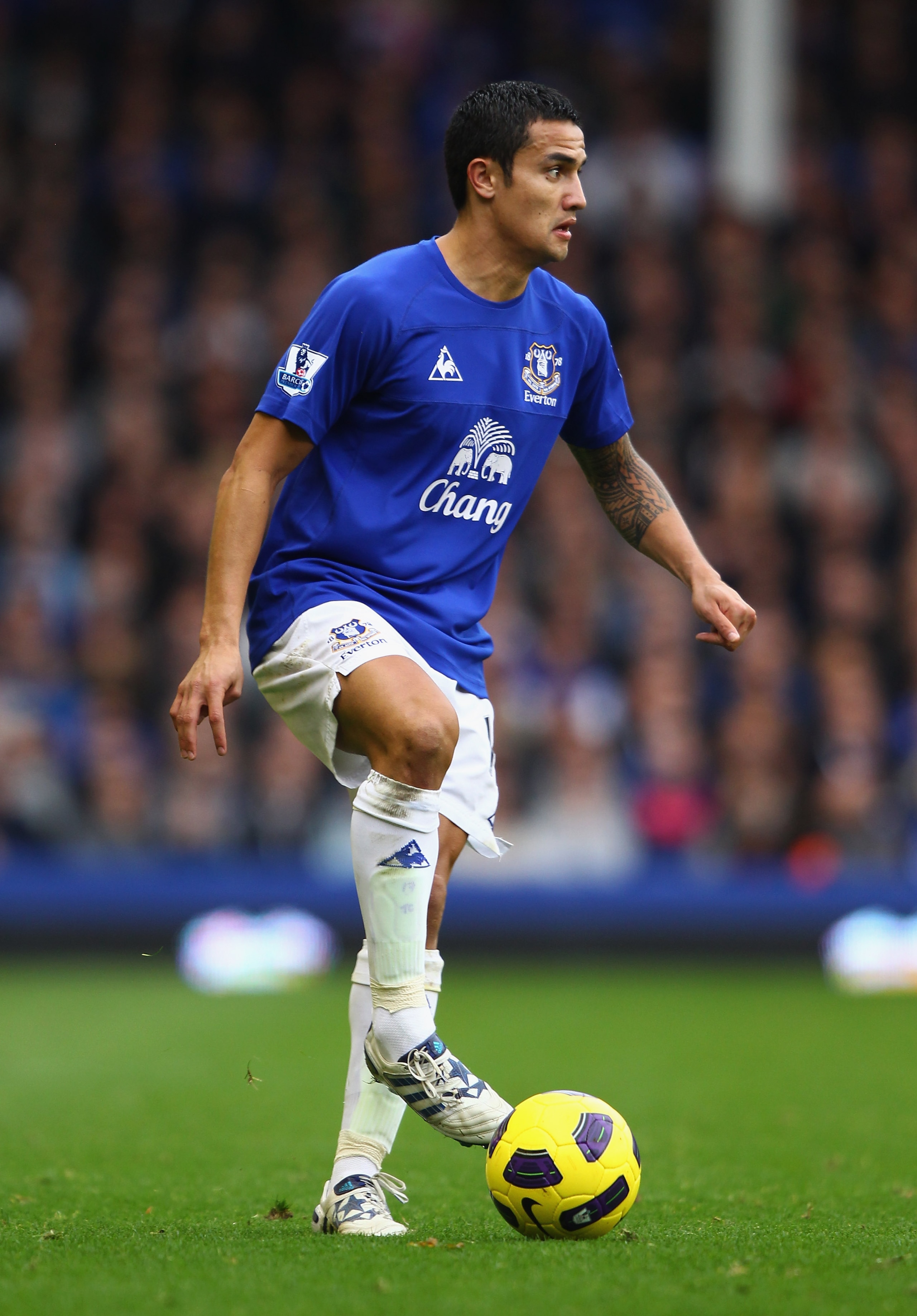 LIVERPOOL, ENGLAND - OCTOBER 30:  Tim Cahill of Everton in action during the Barclays Premier League match between Everton and Stoke City at Goodison Park on October 30, 2010 in Liverpool, England.  (Photo by Clive Brunskill/Getty Images)
