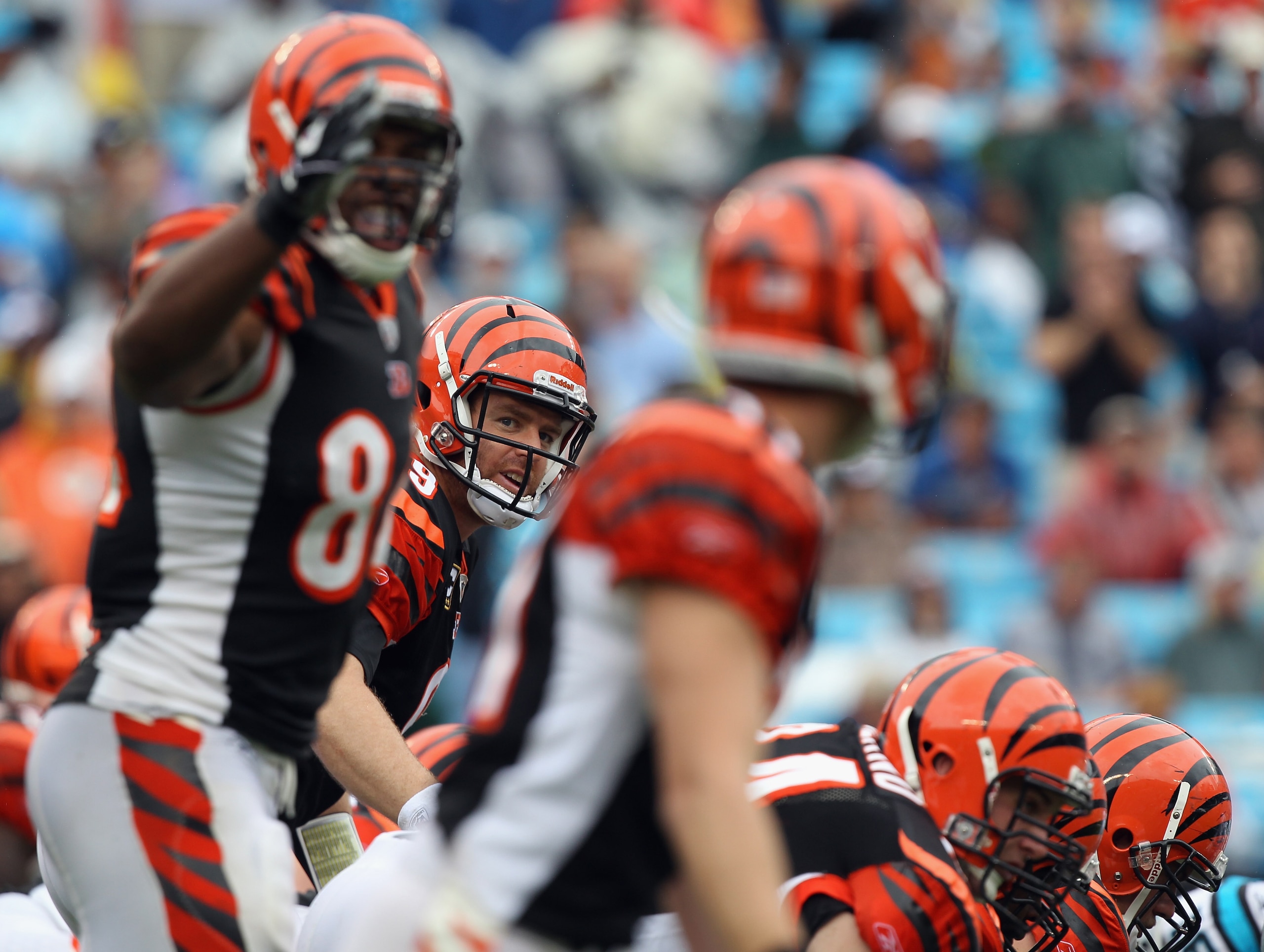 CHARLOTTE, NC - SEPTEMBER 26: Carson Palmer #9 of the Cincinnati Bengals calls out a play against the Carolina Panthers during their game at Bank of America Stadium on September 26, 2010 in Charlotte, North Carolina. (Photo by Streeter Lecka/Getty Image CHARLOTTE, NC - SEPTEMBER 26: Carson Palmer #9 of the Cincinnati Bengals calls out a play against the Carolina Panthers during their game at Bank of America Stadium on September 26, 2010 in Charlotte, North Carolina. (Photo by Streeter Lecka/Getty Image