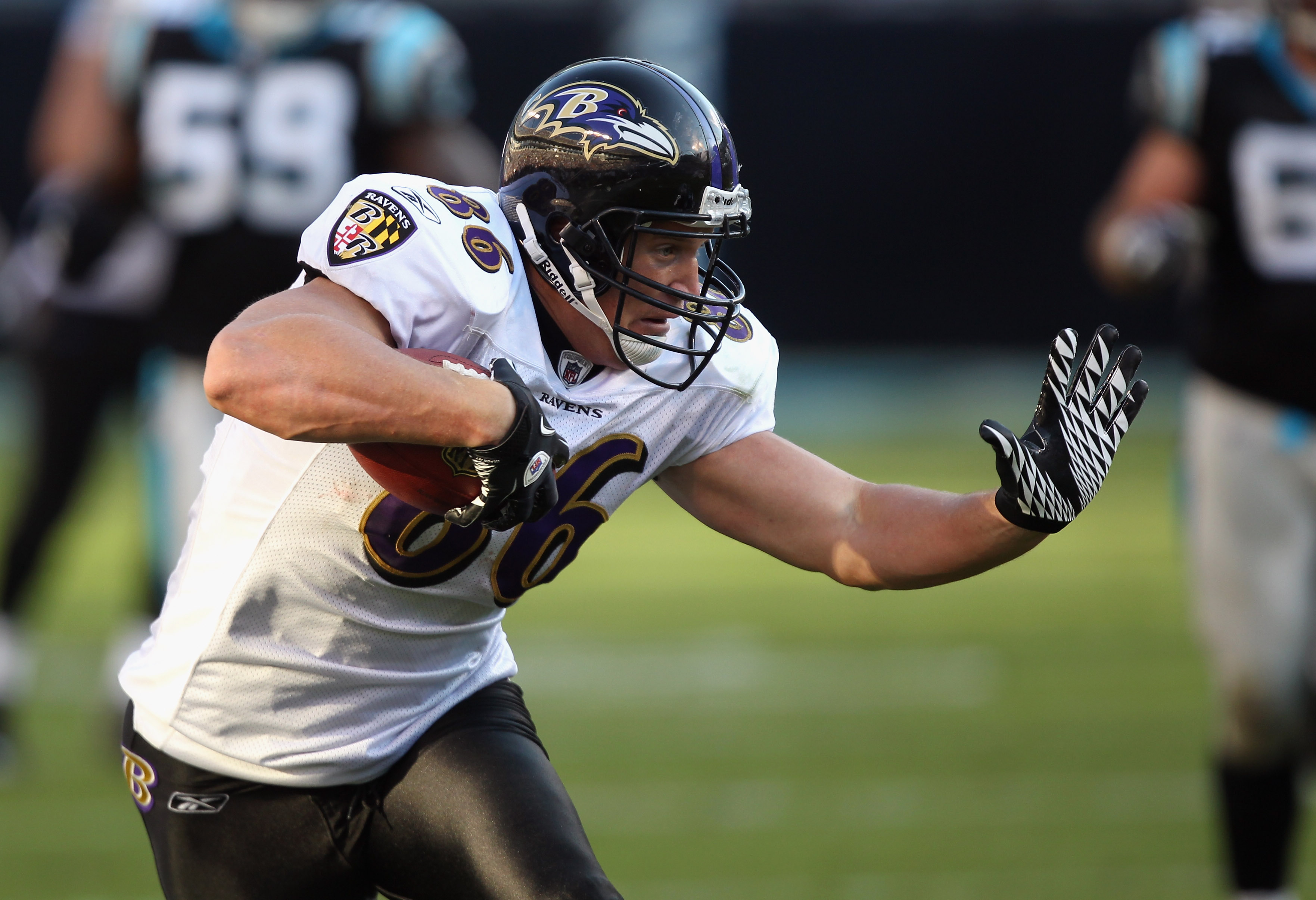 CHARLOTTE, NC - NOVEMBER 21:  Todd Heap #86 of the Baltimore Ravens against the Carolina Panthers at Bank of America Stadium on November 21, 2010 in Charlotte, North Carolina.  (Photo by Streeter Lecka/Getty Images)