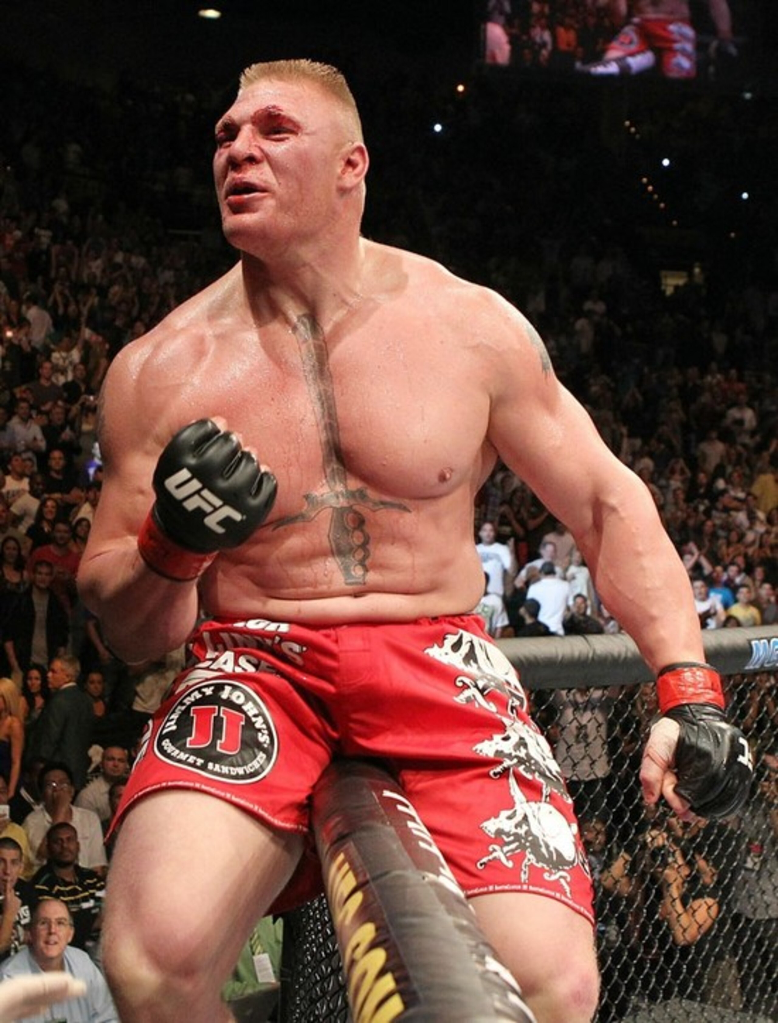 Lesnar celebrates his UFC 116 victory over Shane Carwin.