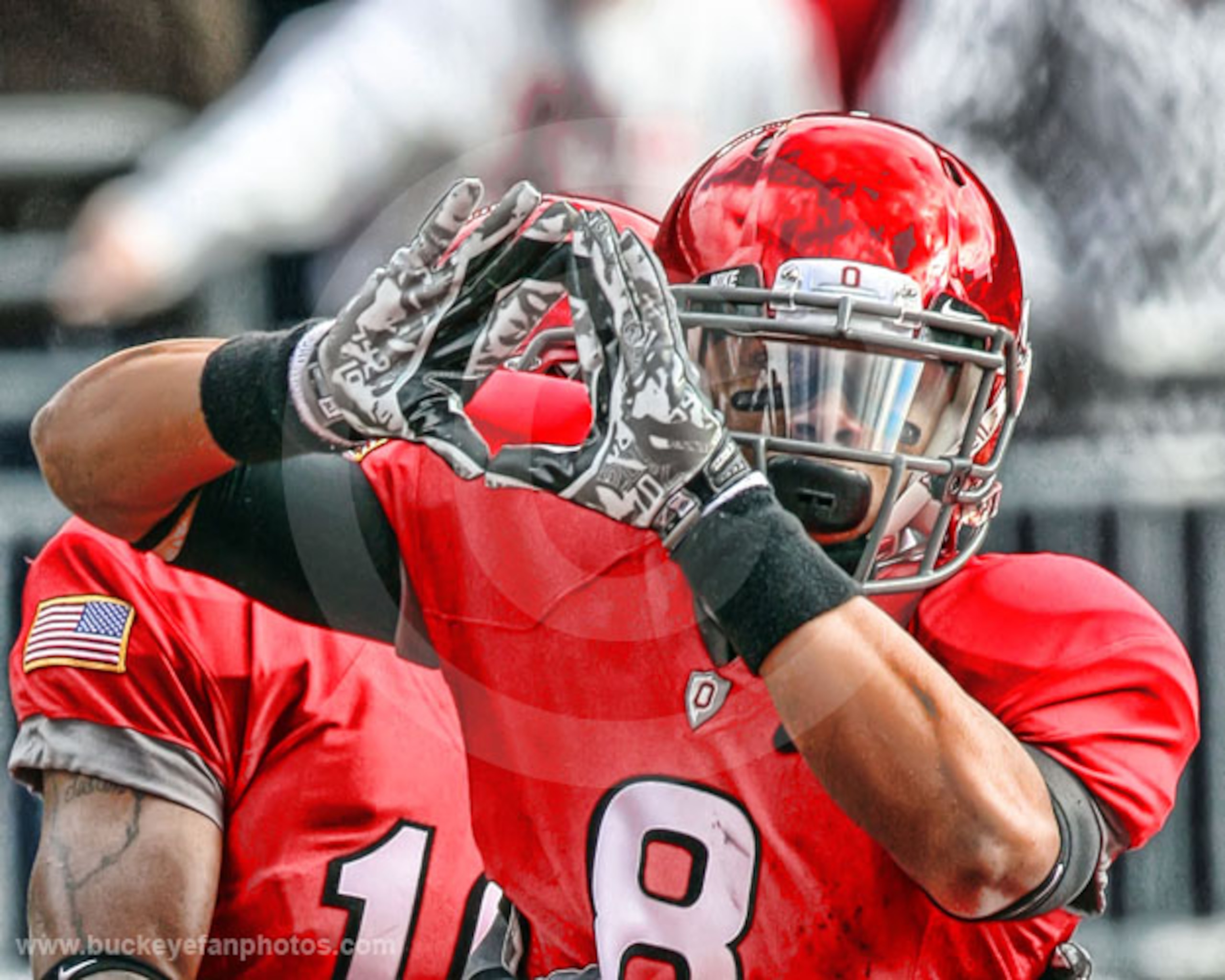 Copyright www.BuckeyeFanPhotos.com