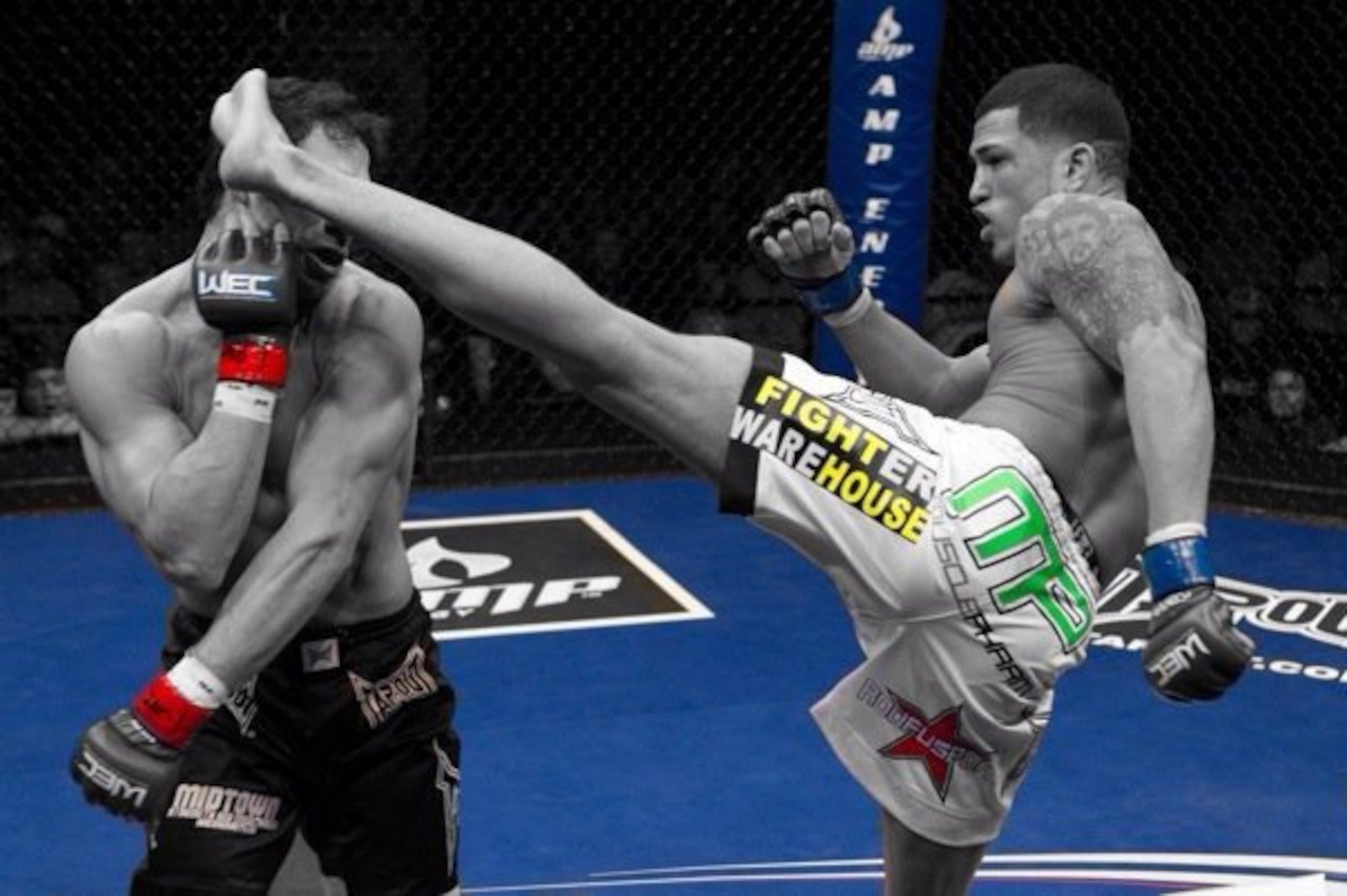 Anthony Pettis
