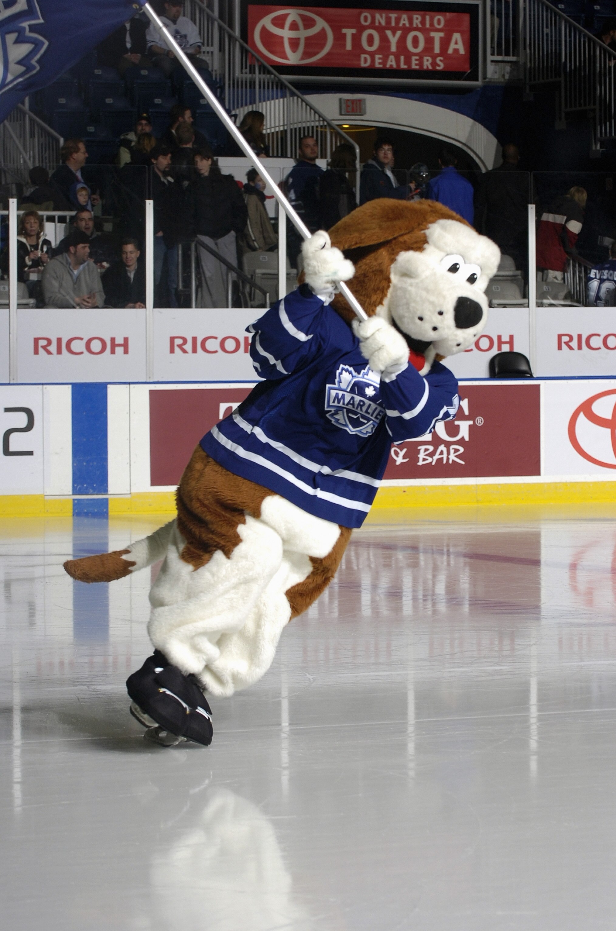 TORONTO - FEBRUARY 17:  The Toronto Marlies mascot performs during the game against the Syracuse Crunch at Ricoh Coliseum on February 17, 2006 in Toronto, Ontario, Canada. Syracuse won 3-2 in a shootout. (Photo by Graig Abel/Getty Images)