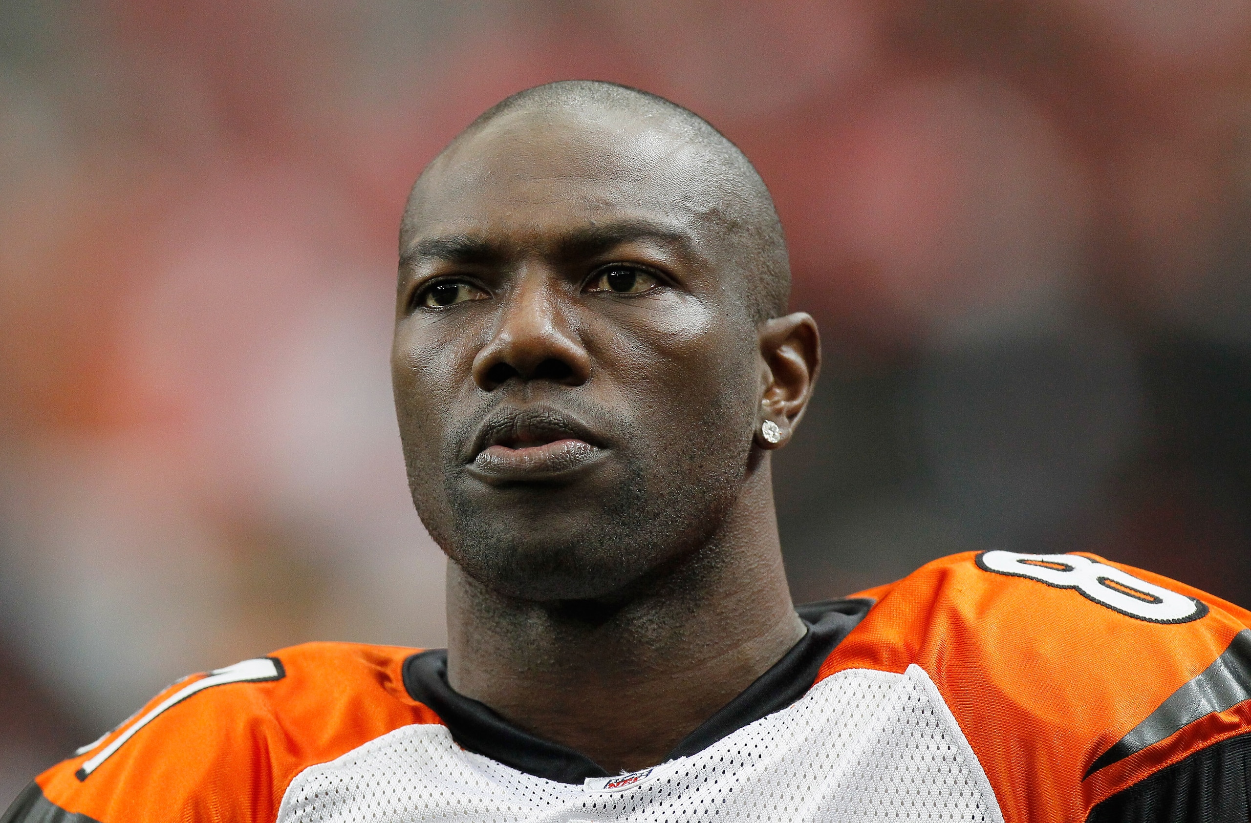 ATLANTA - OCTOBER 24:  Terrell Owens #81 of the Cincinnati Bengals against the Atlanta Falcons at Georgia Dome on October 24, 2010 in Atlanta, Georgia.  (Photo by Kevin C. Cox/Getty Images)