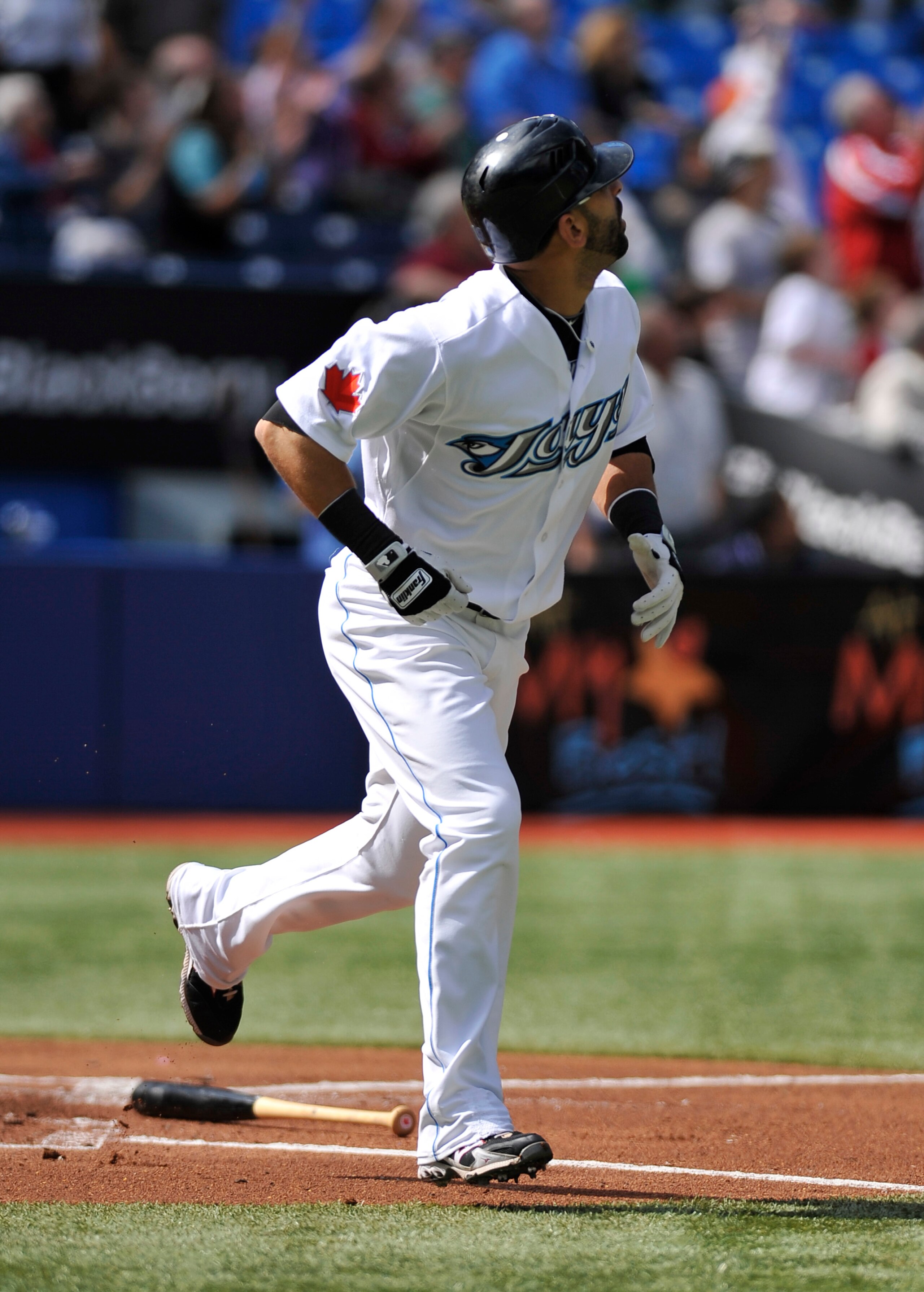 TORONTO - SEPTEMBER 23: Jose Bautista #19 of the Toronto Blue Jays looks as his 50th home run of the season leaves the ball park during the game against the Seattle Mariners on September 23, 2010 at Rogers Centre in Toronto, Ontario, Canada. The Blue Ja TORONTO - SEPTEMBER 23: Jose Bautista #19 of the Toronto Blue Jays looks as his 50th home run of the season leaves the ball park during the game against the Seattle Mariners on September 23, 2010 at Rogers Centre in Toronto, Ontario, Canada. The Blue Ja