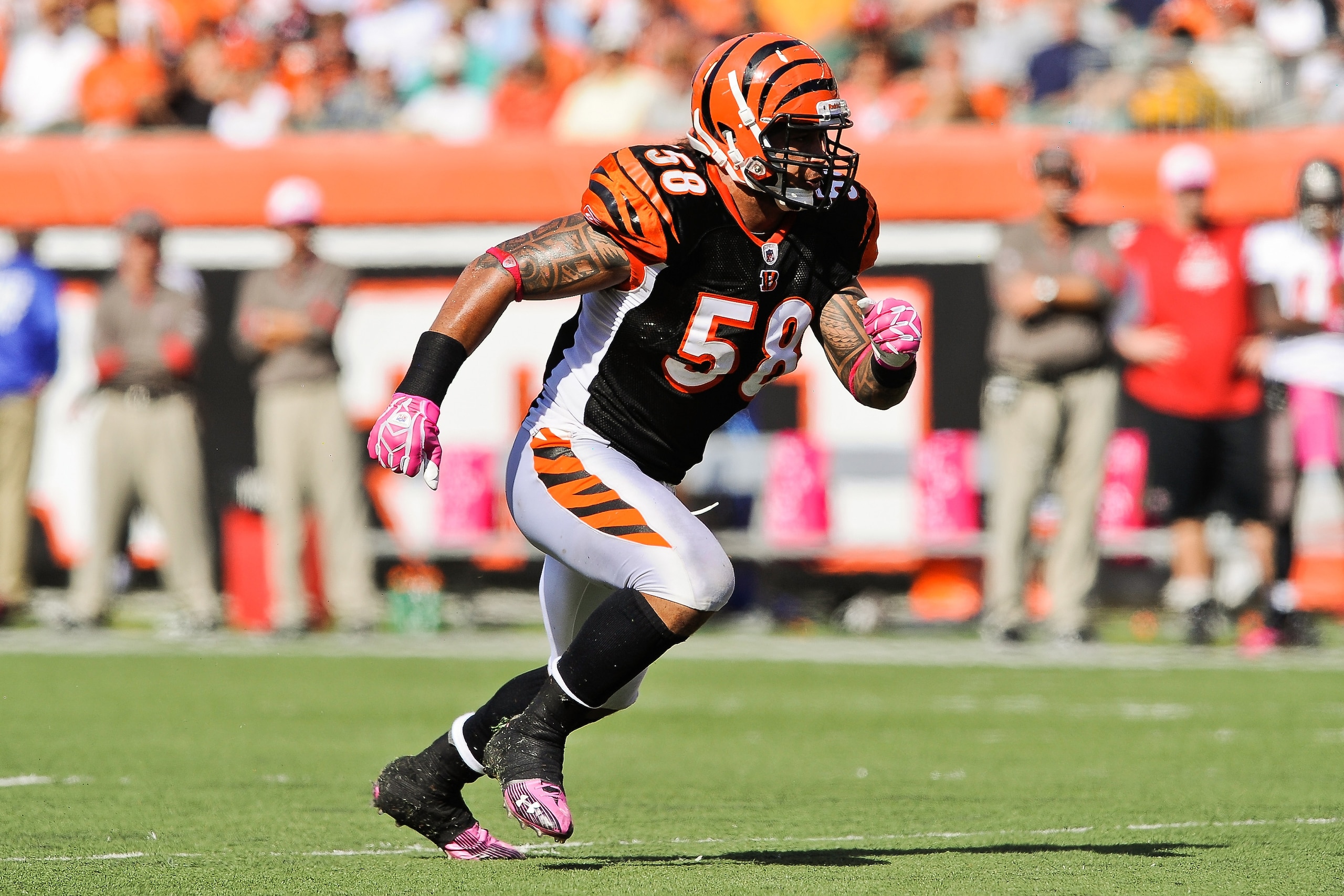 CINCINNATI, OH - OCTOBER 10: Rey Maualuga #58 of the Cincinnati Bengals runs after the ballcarrier against the Tampa Bay Buccaneers at Paul Brown Stadium on October 10, 2010 in Cincinnati, Ohio. (Photo by Jamie Sabau/Getty Images)