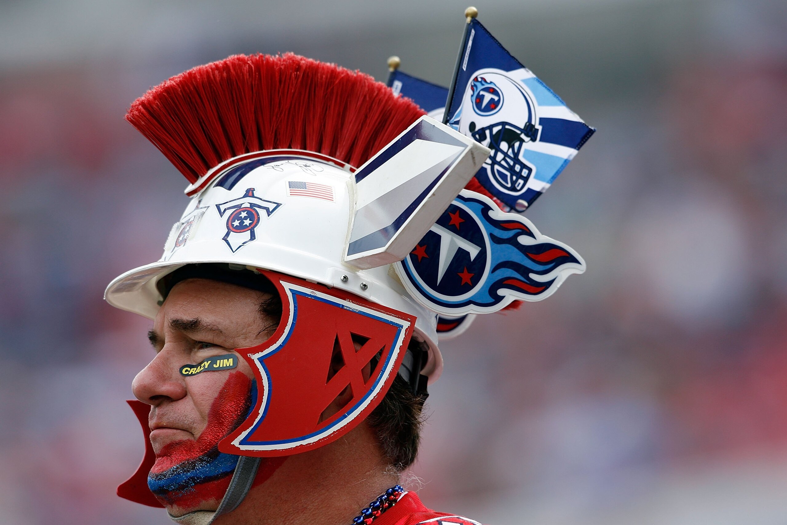 NASHVILLE, TN - SEPTEMBER 20:  A Tennessee Titans fan is pictured during the NFL game against the Houston Texans at LP Field on September 20, 2009 in Nashville, Tennessee.  (Photo by Andy Lyons/Getty Images)