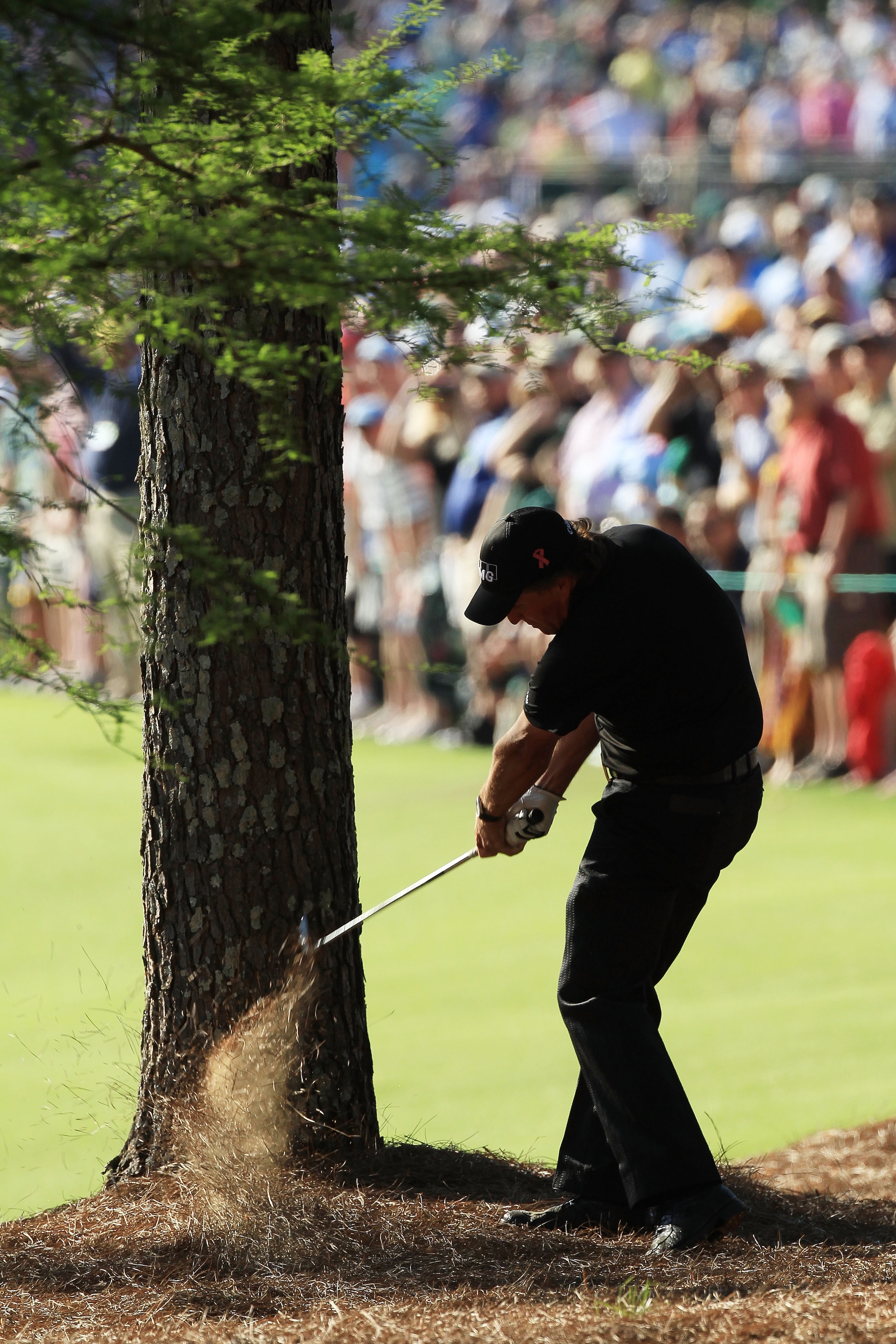AUGUSTA, GA - APRIL 11:  Phil Mickelson plays a shot from the pine needles on the 13th hole during the final round of the 2010 Masters Tournament at Augusta National Golf Club on April 11, 2010 in Augusta, Georgia.  (Photo by David Cannon/Getty Images)